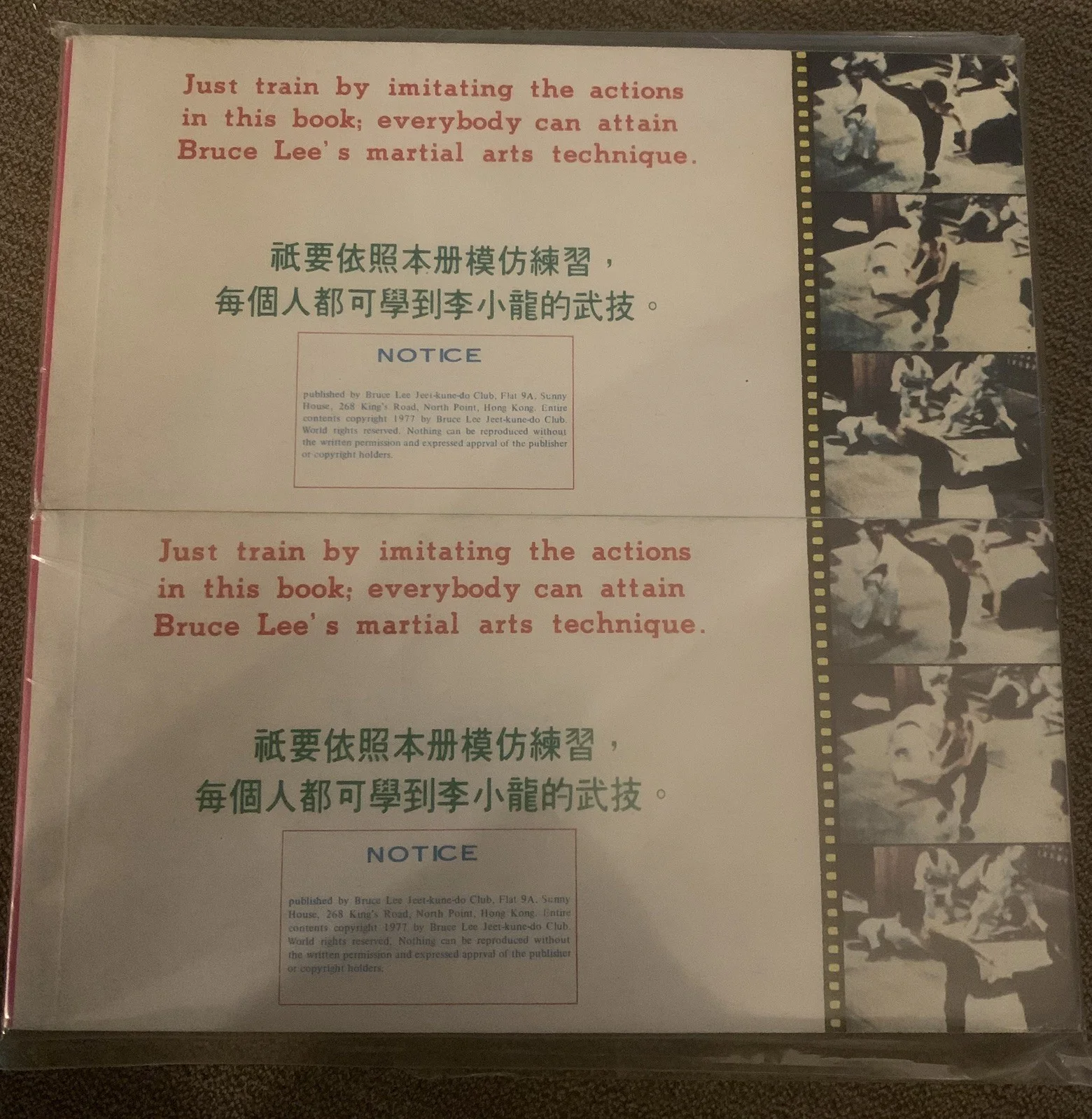 Bruce Lee Motion Pictures On Paper Vol 1 Book A and Book B- Rare & out of print, изображение 3