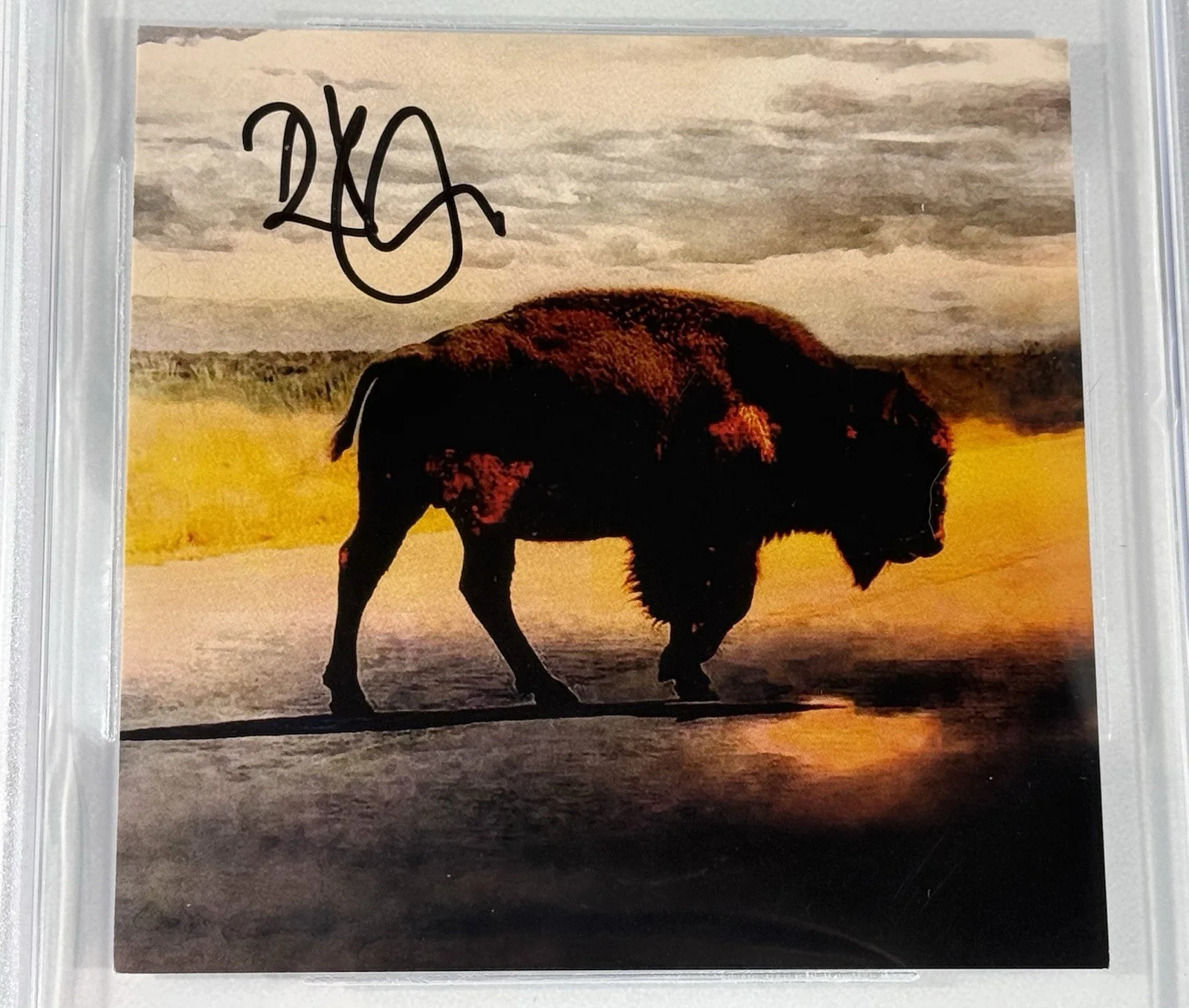 Robert Plant signed CD insert Saving Grace Led Zeppelin beckett coa slabbed, image 2