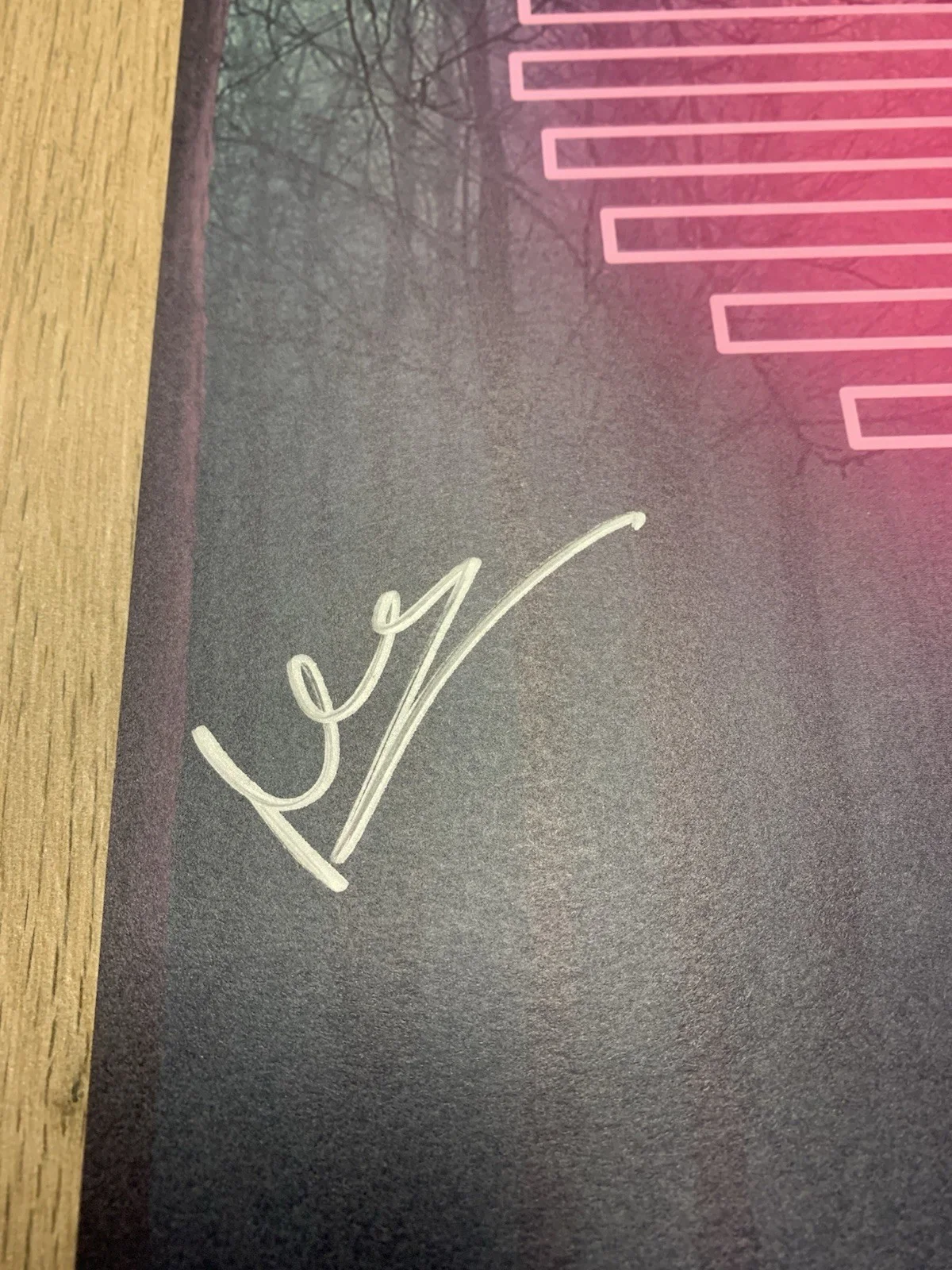 FITZ AND THE TANTRUMS MORE THAN JUST A DREAM SIGNED ALBUM POSTER NOELLE SCAGGS +, image 3