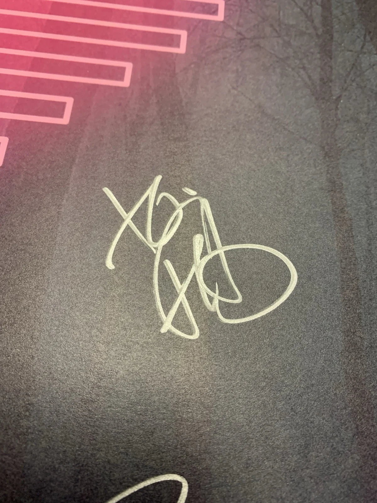 FITZ AND THE TANTRUMS MORE THAN JUST A DREAM SIGNED ALBUM POSTER NOELLE SCAGGS +, image 4