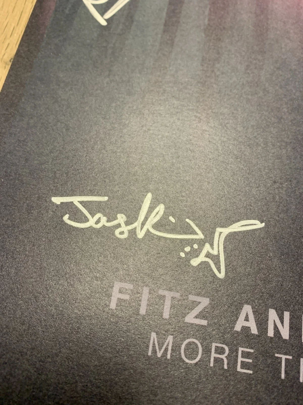 FITZ AND THE TANTRUMS MORE THAN JUST A DREAM SIGNED ALBUM POSTER NOELLE SCAGGS +, image 5