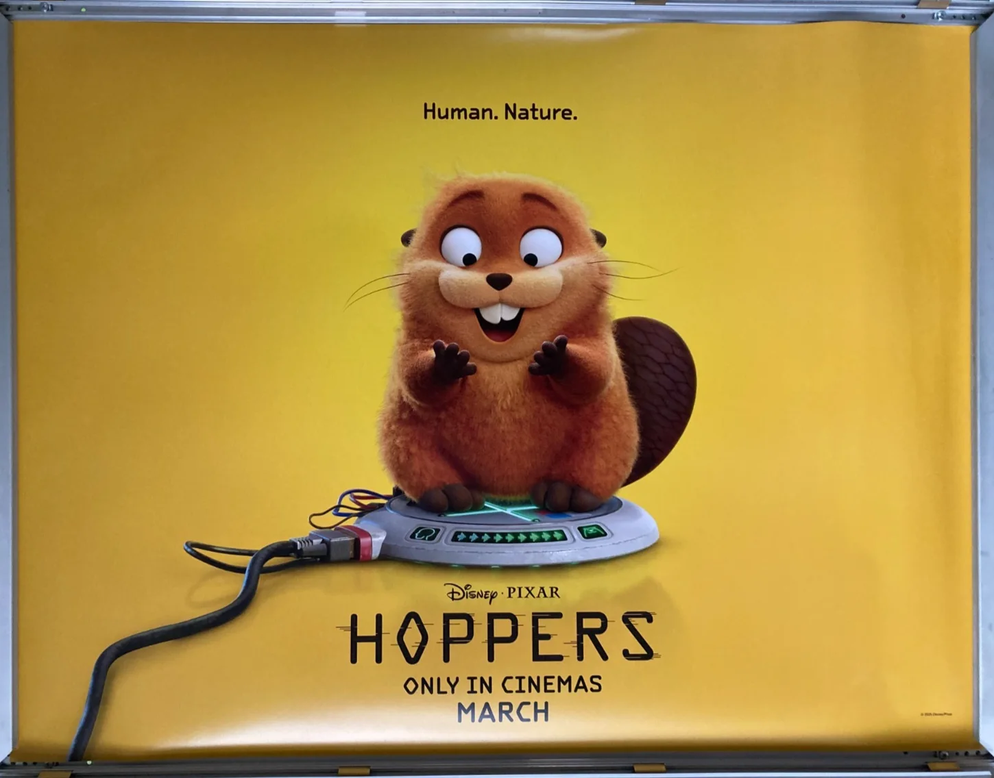 Cinema Poster: HOPPERS 2026 (Advance Quad) Jon Hamm Meryl Streep Dave Franco, изображение 2