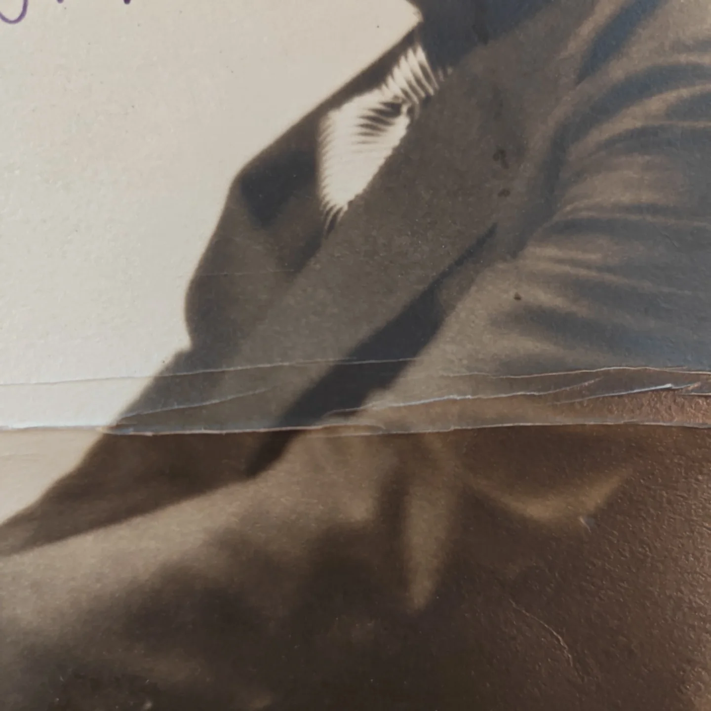 Rudy Vallee — RUDY VALLEE Autographed Hand Signed 8"x10" VINTAGE 1930s HAL PHYFE PHOTO SINGER, изображение 4