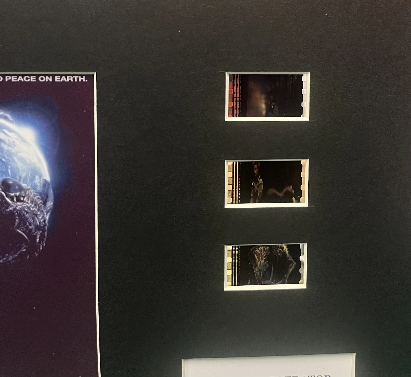 ALIEN vs. PREDATOR. 35mm Film Cell MOUNTED Display, image 2