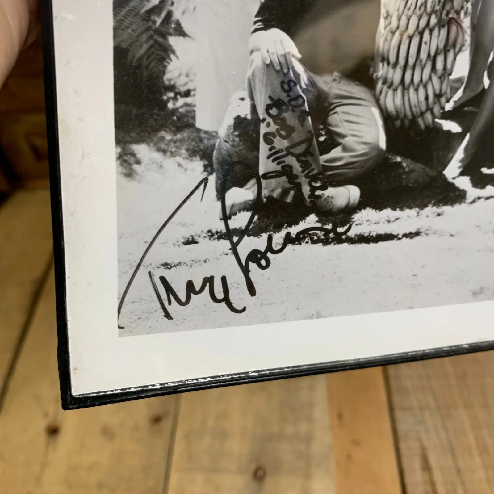 Gilligan's Island signed - Press Photo - A copy of a copy- Jack said! Hollywood, изображение 3
