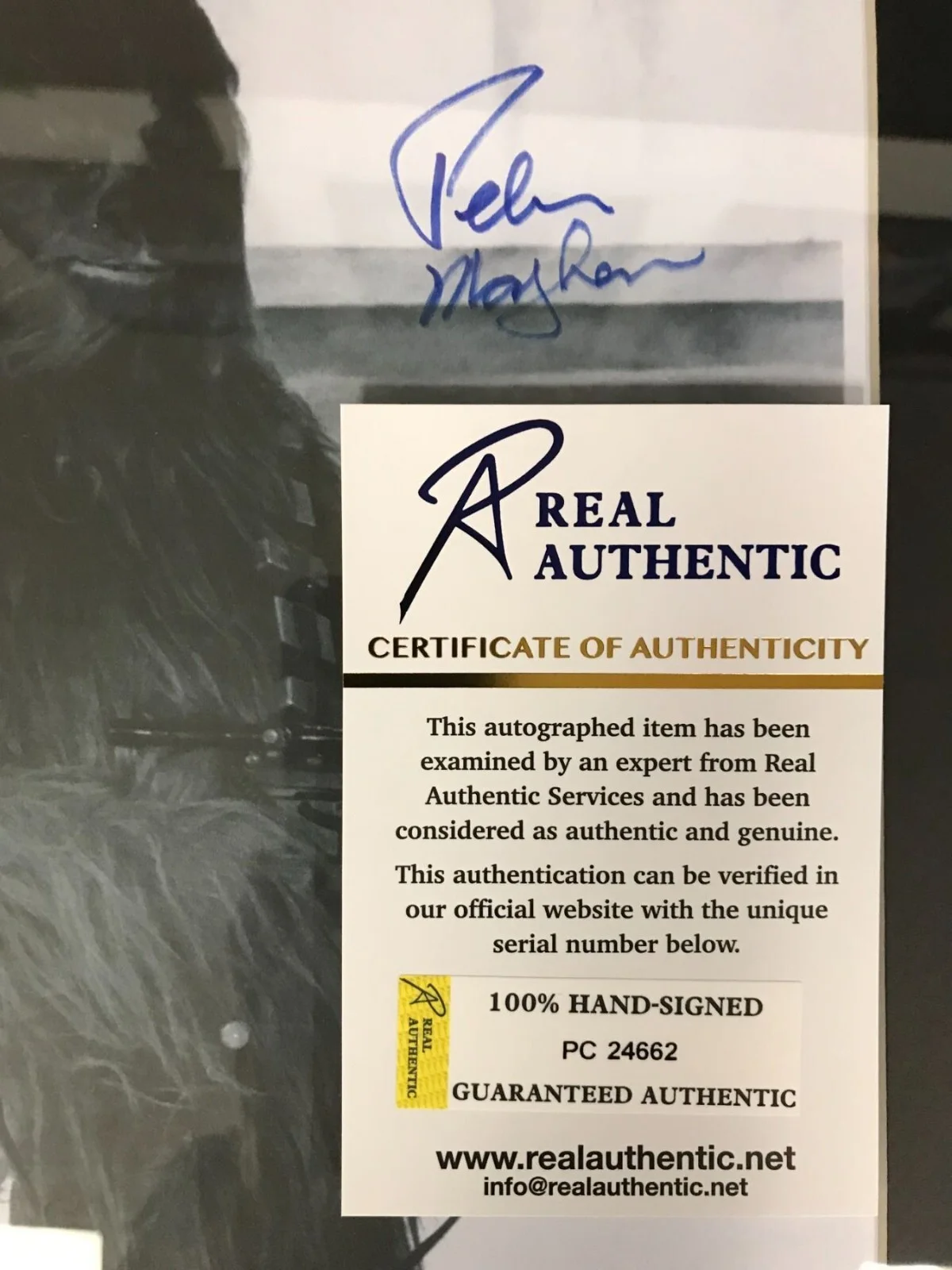 Peter Mayhew — PETER MAYHEW SIGNED 8.5x11.5 + FRAMED STAR WARS RA COA Chewbacca not 8x10 Auto, image 2