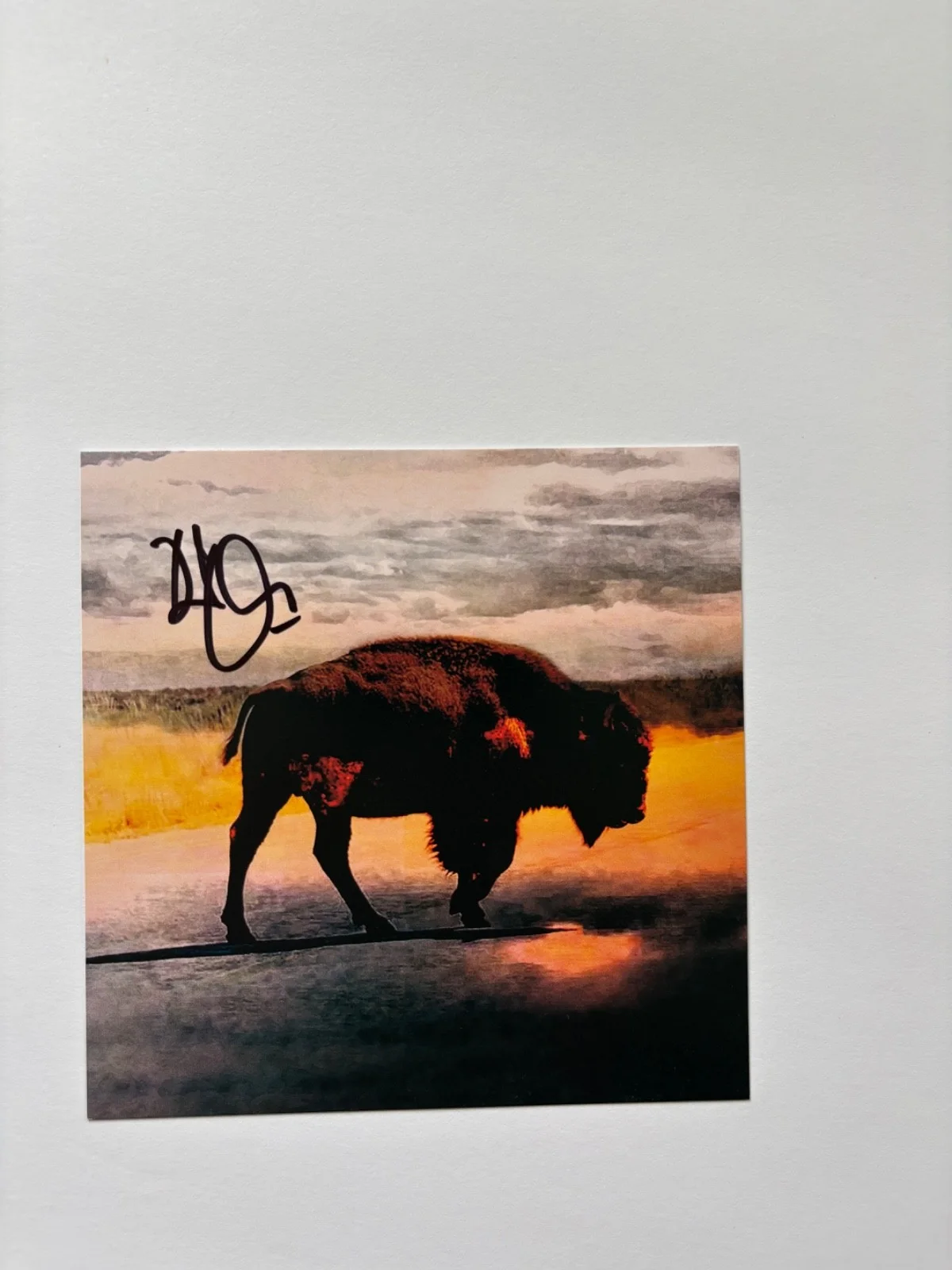 ROBERT PLANT SIGNED SAVING GRACE CD COVER INSERT FRAMED LED ZEPPELIN BAS, изображение 2