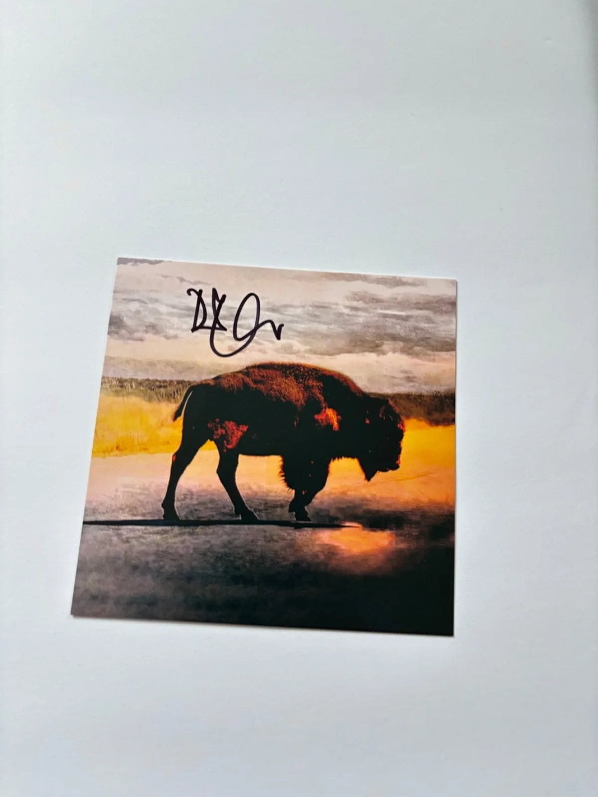 ROBERT PLANT SIGNED SAVING GRACE CD COVER INSERT FRAMED LED ZEPPELIN BAS a, изображение 2