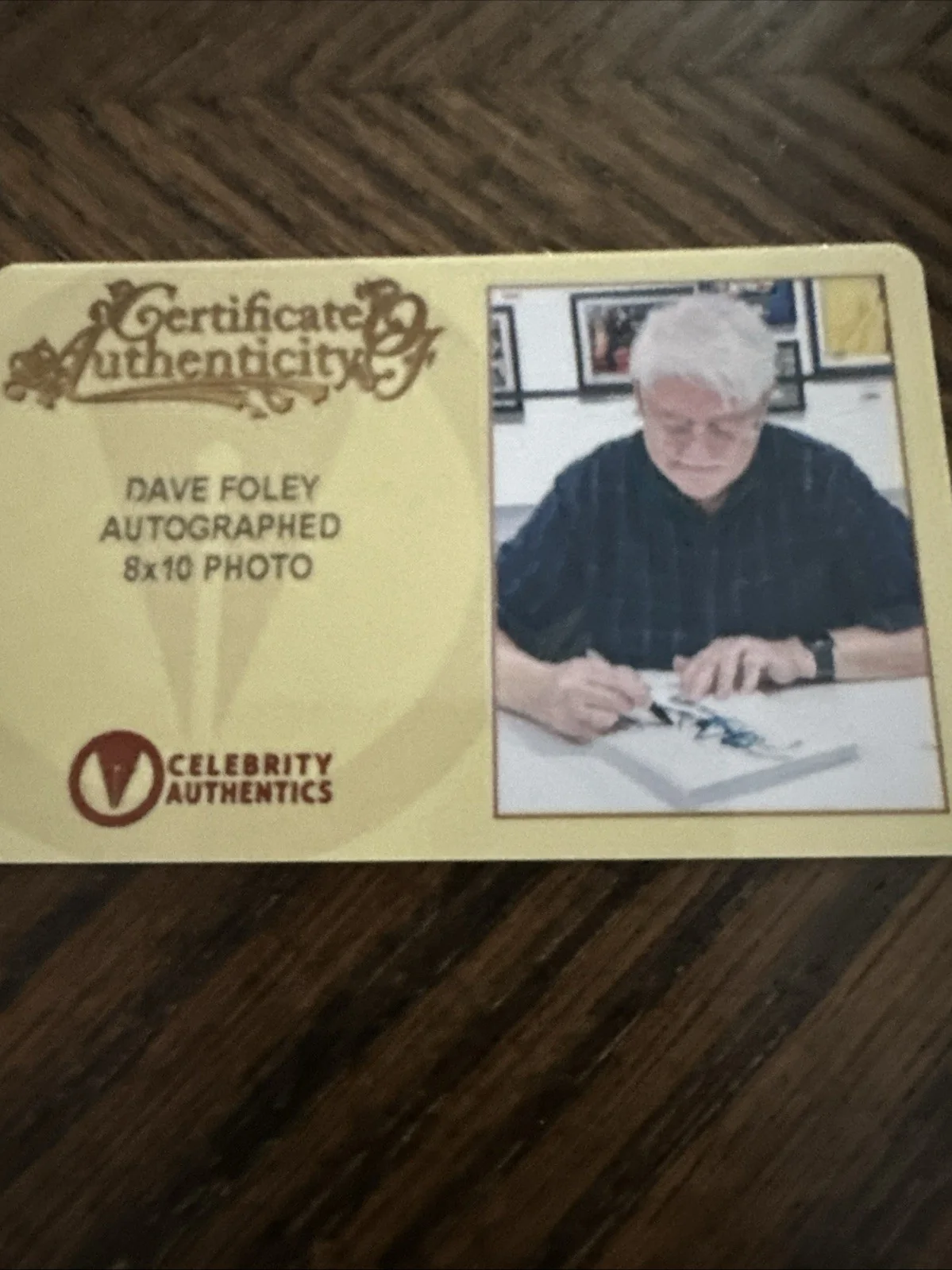 David Foley — Dave Foley Signed Autographed 1998 A Bug's Life Flik 8x10 Studio Photo COA, image 5