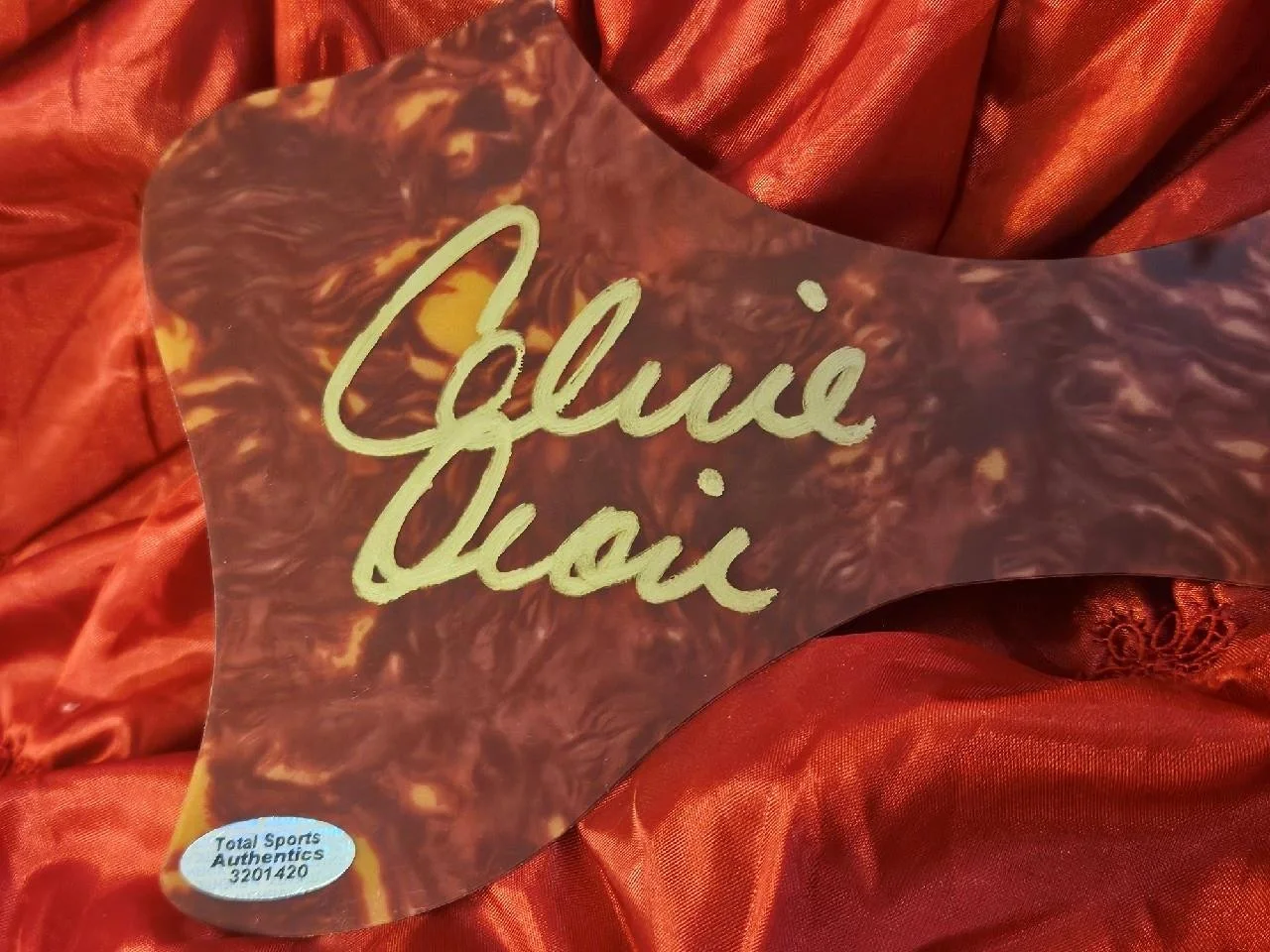 CELINE DION HAND SIGNED AUTOGRAPHED GUITAR PICKGUARD SINGER STAR REAL W/ COA, изображение 2