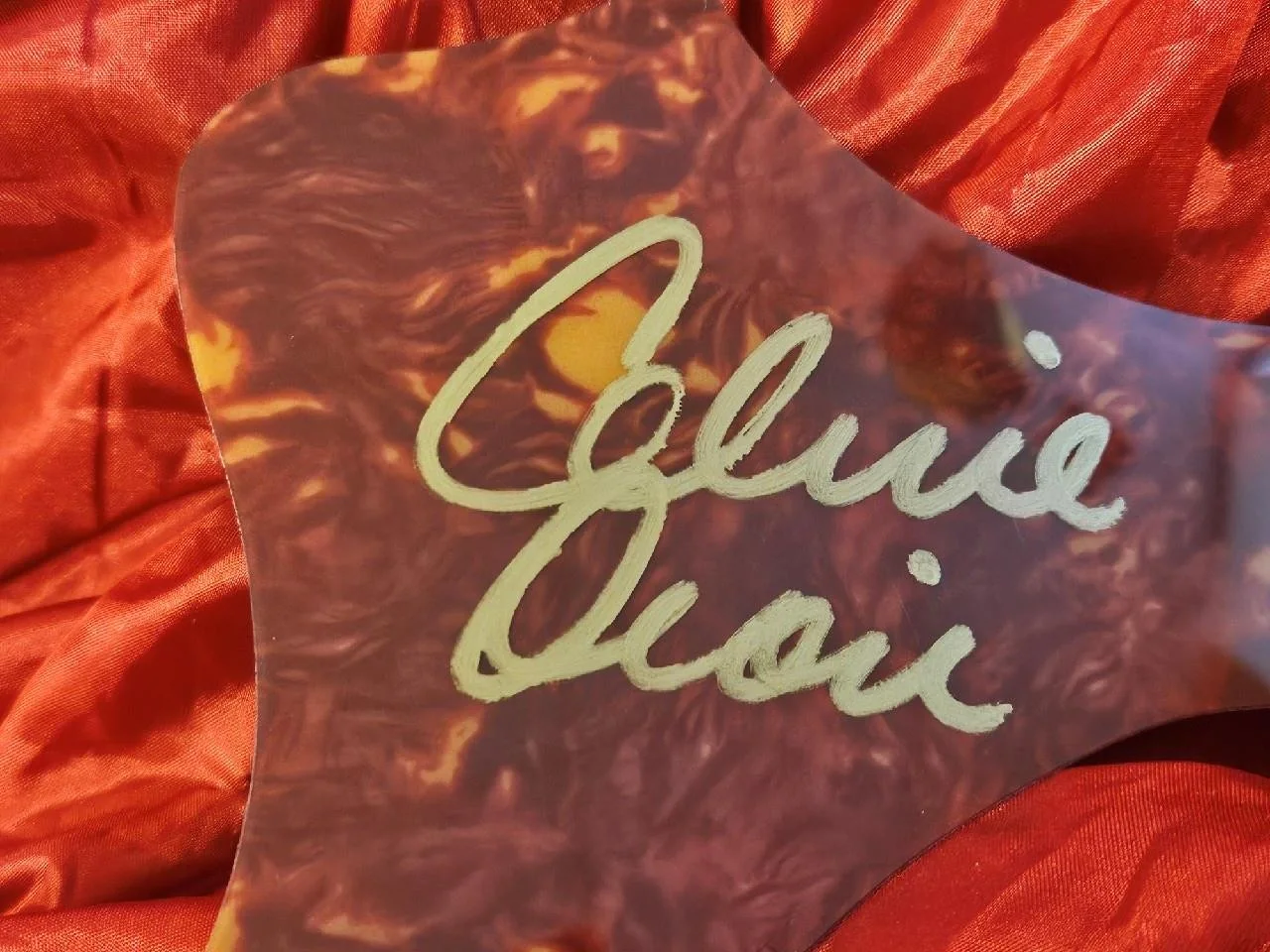 CELINE DION HAND SIGNED AUTOGRAPHED GUITAR PICKGUARD SINGER STAR REAL W/ COA, изображение 4