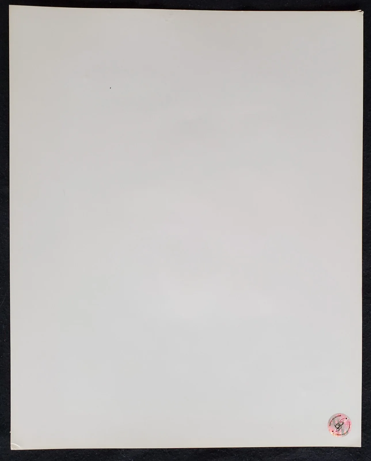 Ann Jillian Autograph Hollywood 8x10 Photograph, image 2