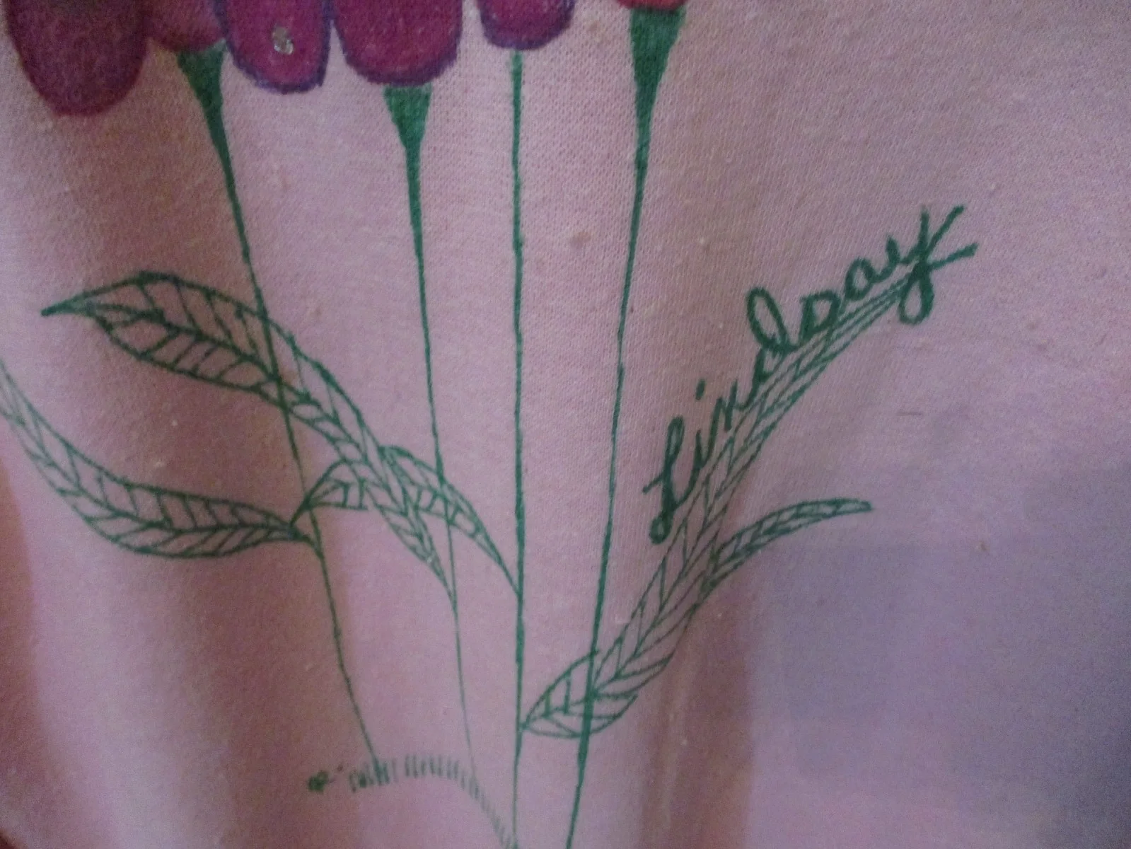 LINDSAY WAGNER Signed 1980's Sheatshirt- Large Ladies ("THE BIONIC WOMAN"), image 3