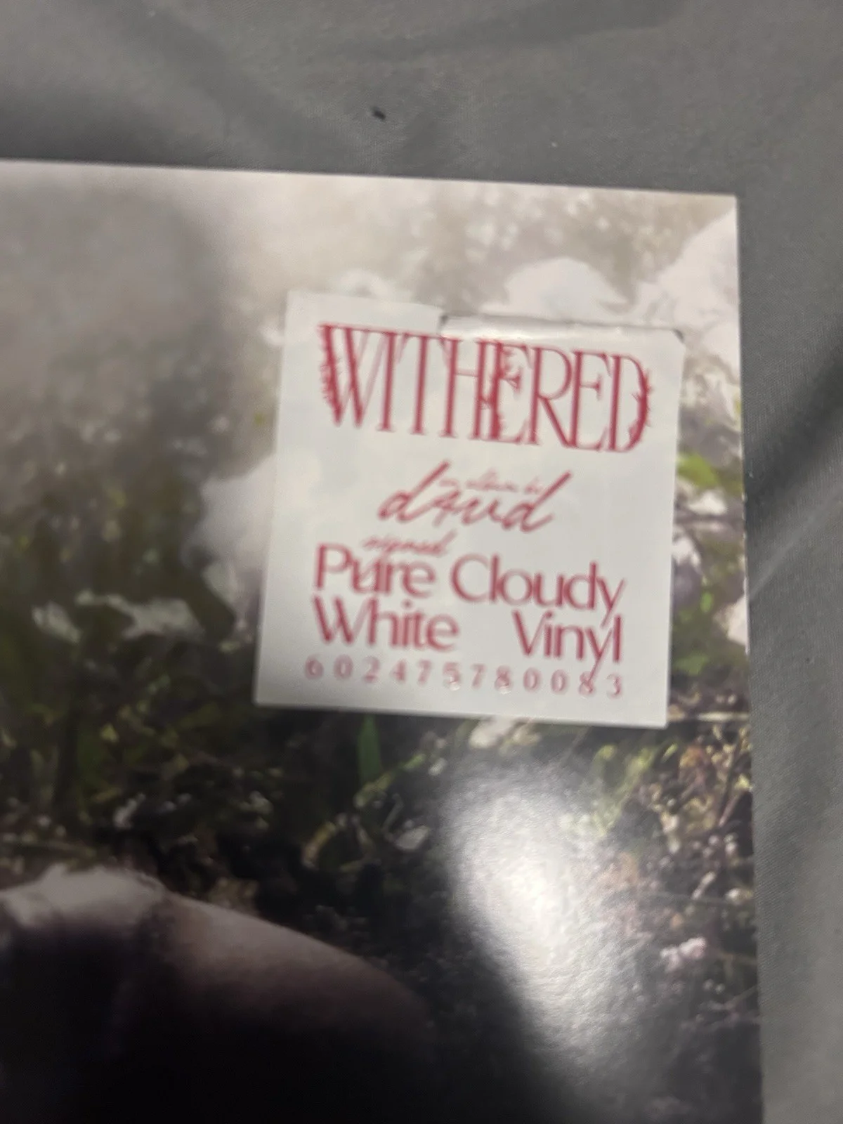 SIGNED D4VD POSTER UNATTAINABLE NOW BRAND NEW NEVER USED ONLY HELD ONCE WHITE, изображение 3