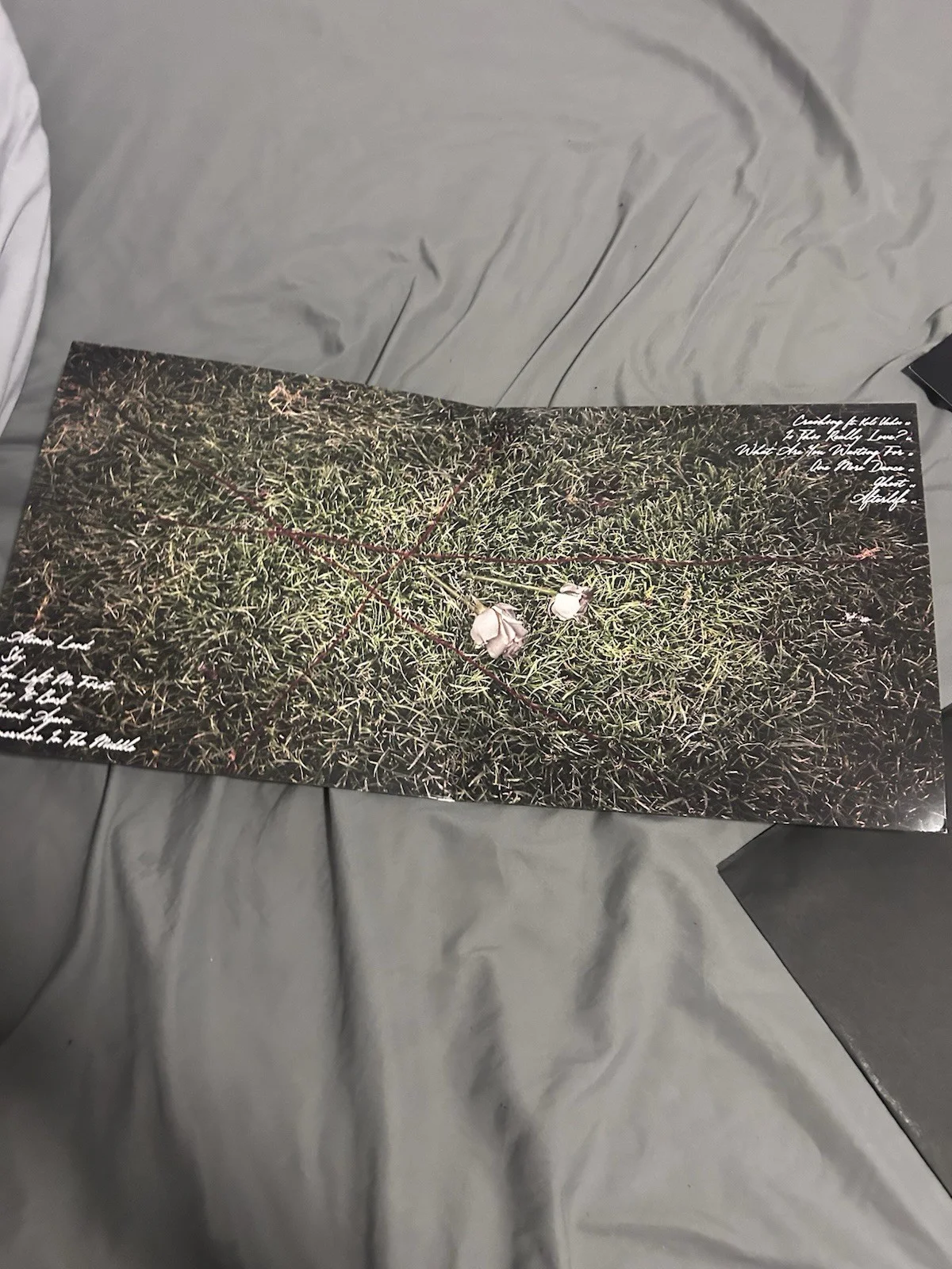 SIGNED D4VD POSTER UNATTAINABLE NOW BRAND NEW NEVER USED ONLY HELD ONCE WHITE, изображение 4