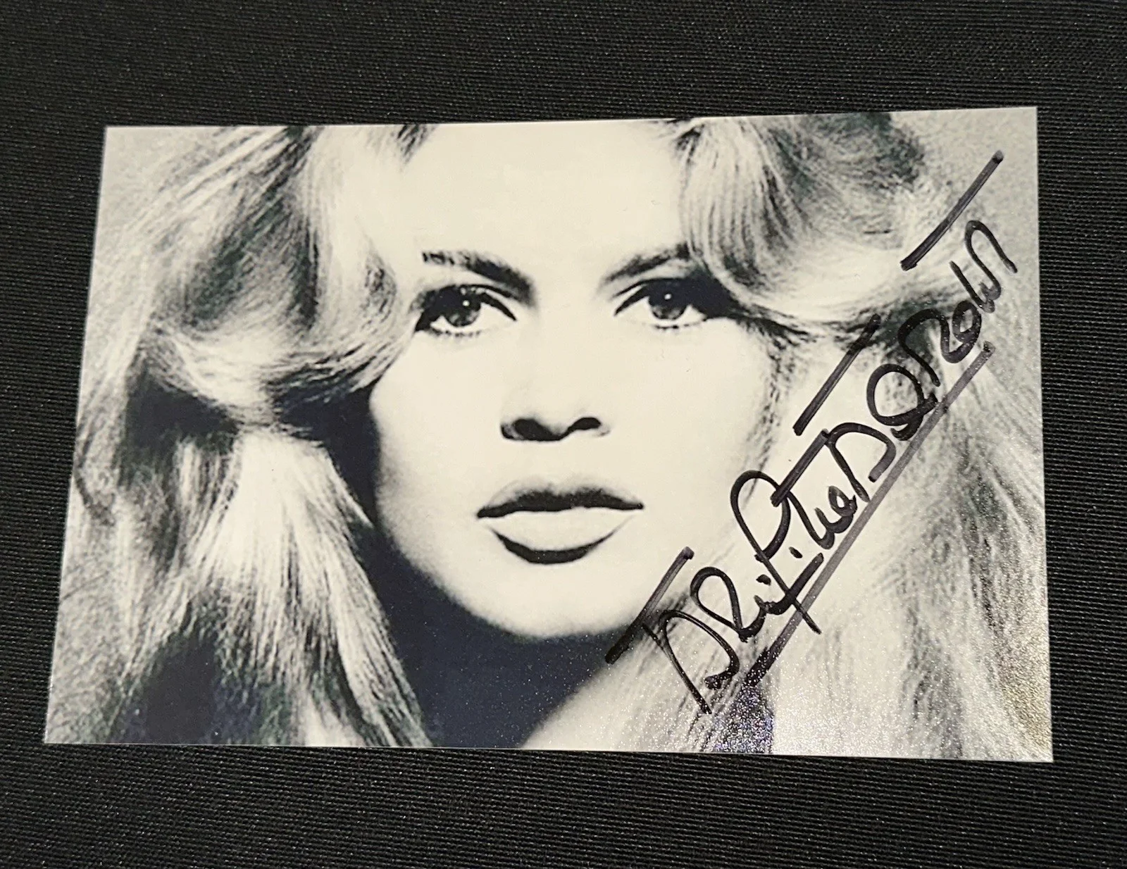 SEE TITLE — BRIGITTE BARDOT Signed 4x6 Photo sexy actress model