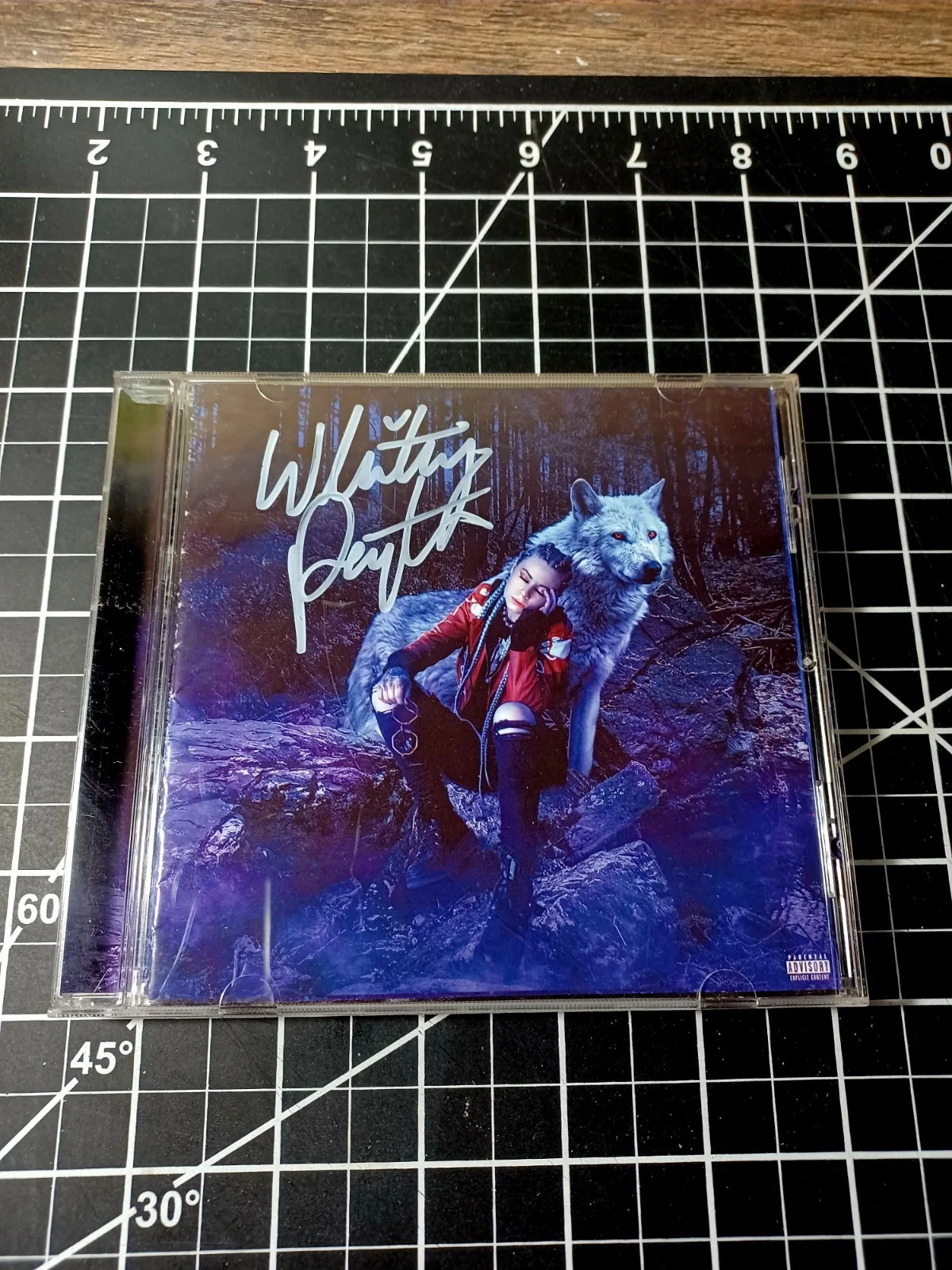 WHITNEY PEYTON ALPHA Album Signed CD ALPHA HOWSE Suburban Noize Records KMK, image 2