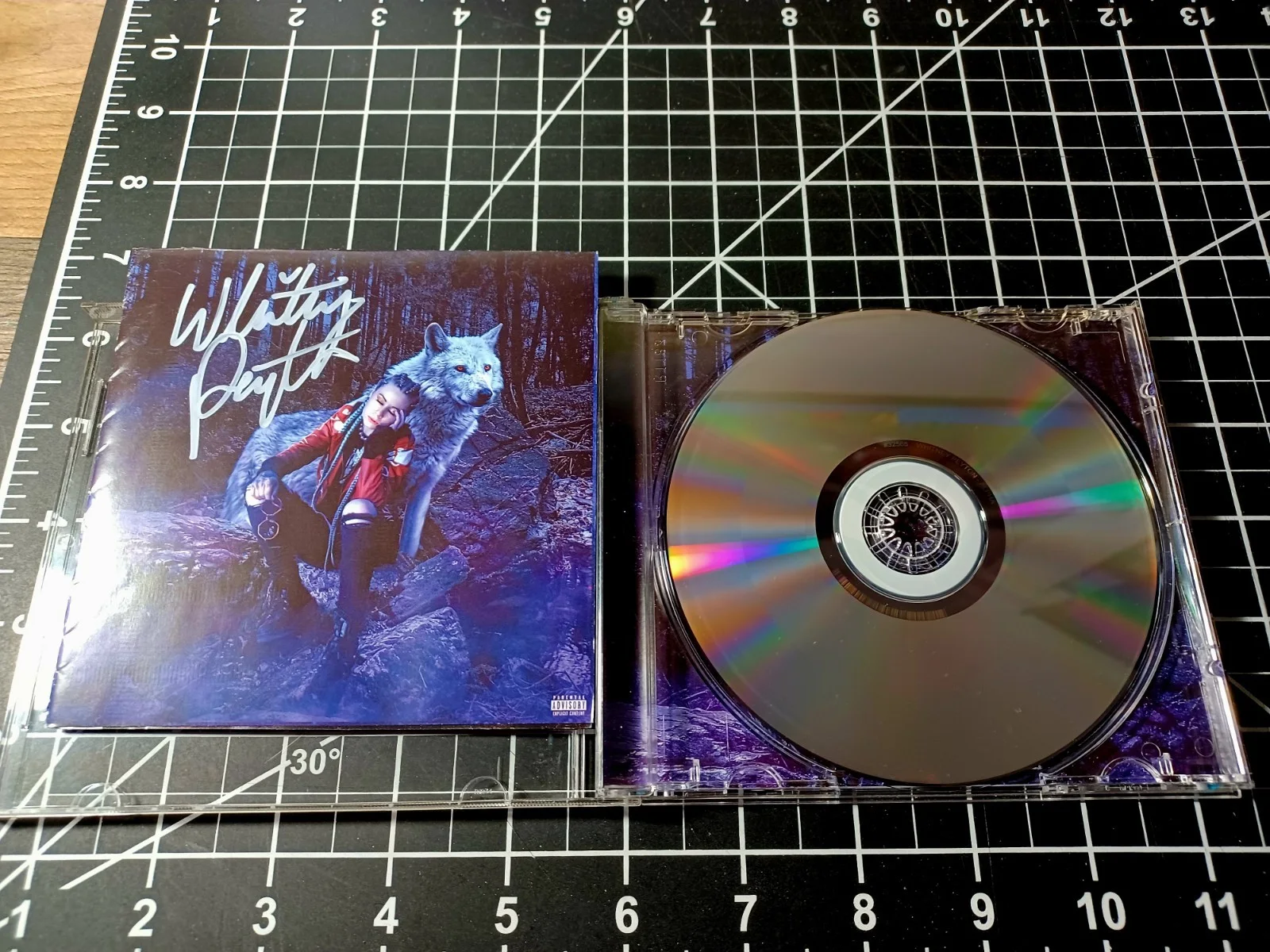 WHITNEY PEYTON ALPHA Album Signed CD ALPHA HOWSE Suburban Noize Records KMK, image 5