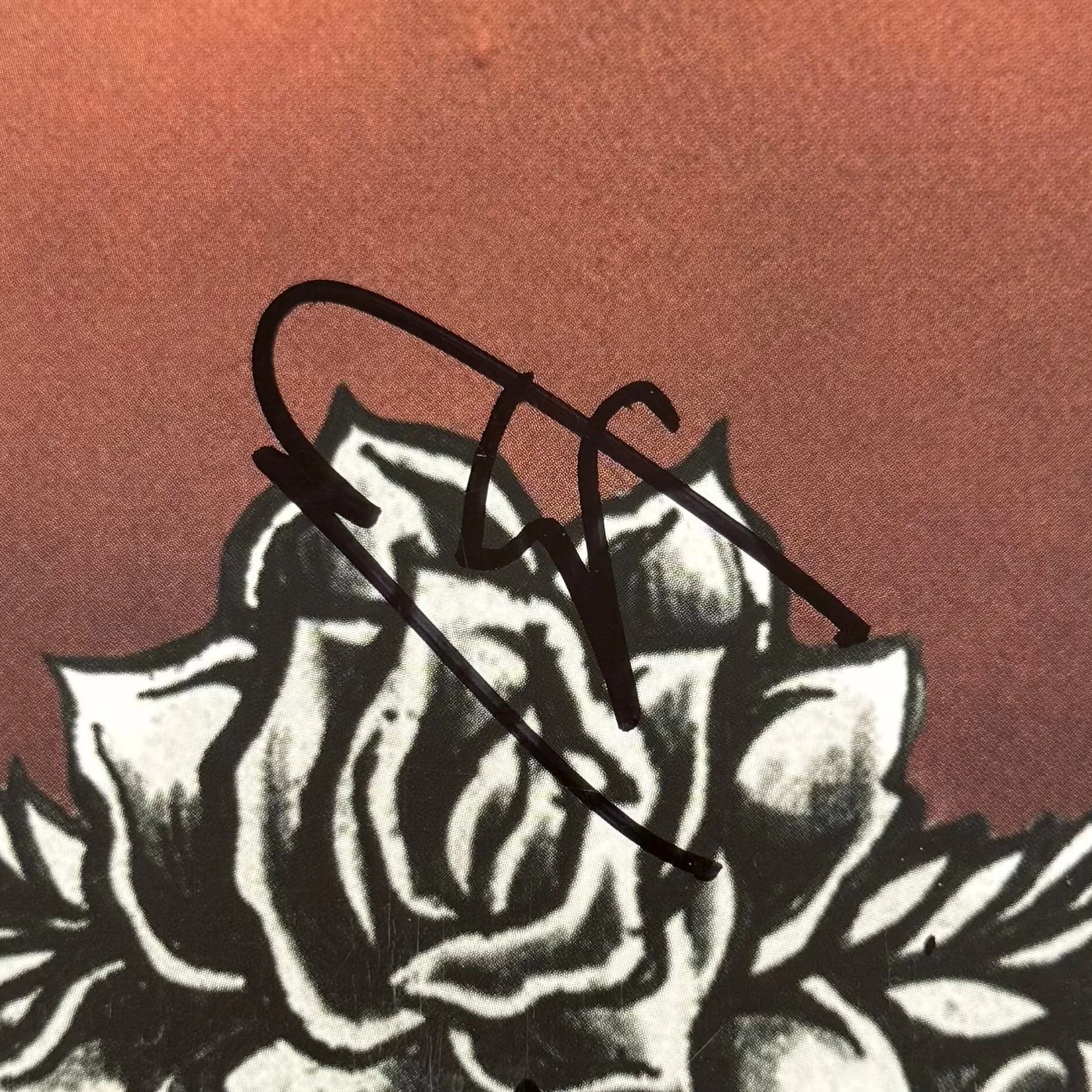 Eric Wilson Signed Autographed Vinyl LP "Sublime" PSA/DNA Authenticated, image 2