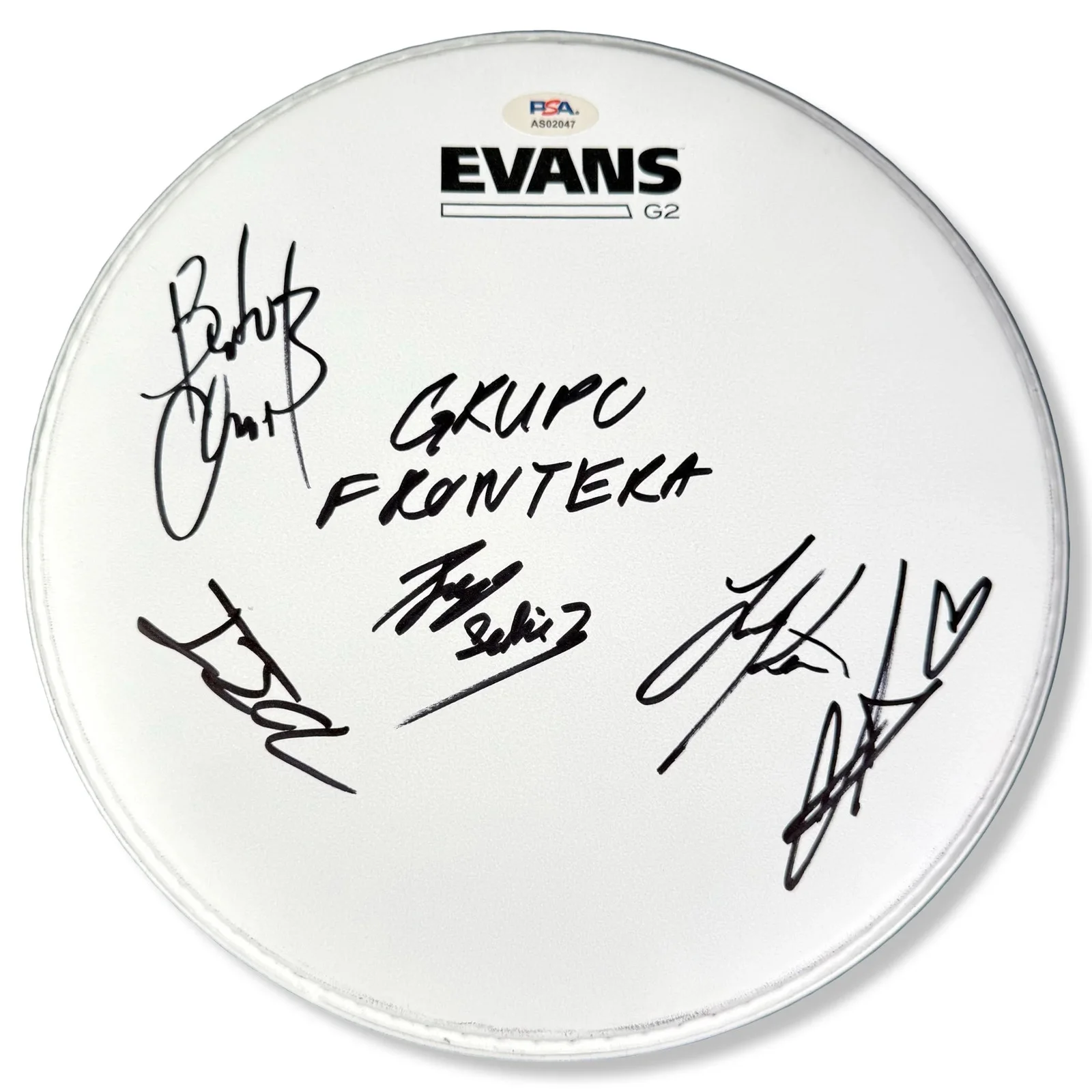 Grupo Frontera Signed Autographed 10” Drumhead PSA/DNA Authenticated, image 2