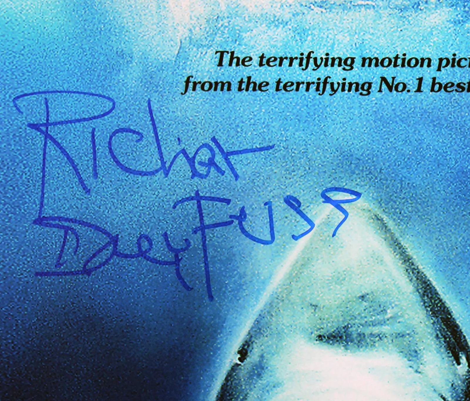 Richard Dreyfuss — Richard Dreyfuss Jaws Signed 12x18 Mini Movie Poster Photo BAS #BV25089, image 2