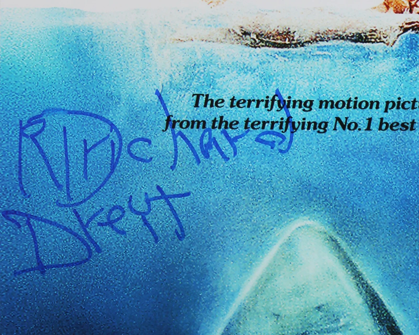 Richard Dreyfuss — Richard Dreyfuss Jaws Signed 12x18 Mini Movie Poster Photo BAS #BV25033, image 2