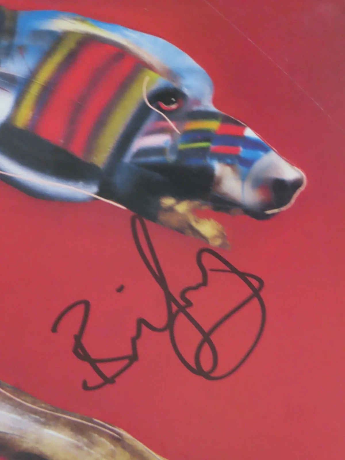 BRIAN GREENWAY signed APRIL WINE Animal Grace Record This Could Be the Right One, изображение 2