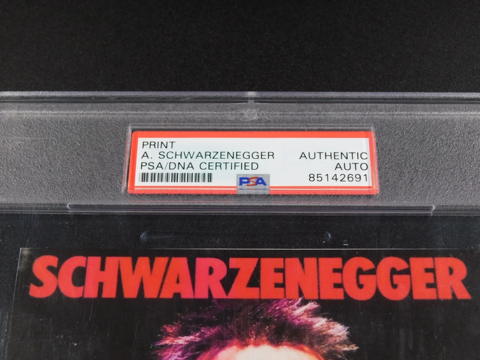 Arnold Schwarzenegger — Arnold Schwarzenegger Signed Autographed 5x7 The Terminator Print PSA Slab COA, image 3
