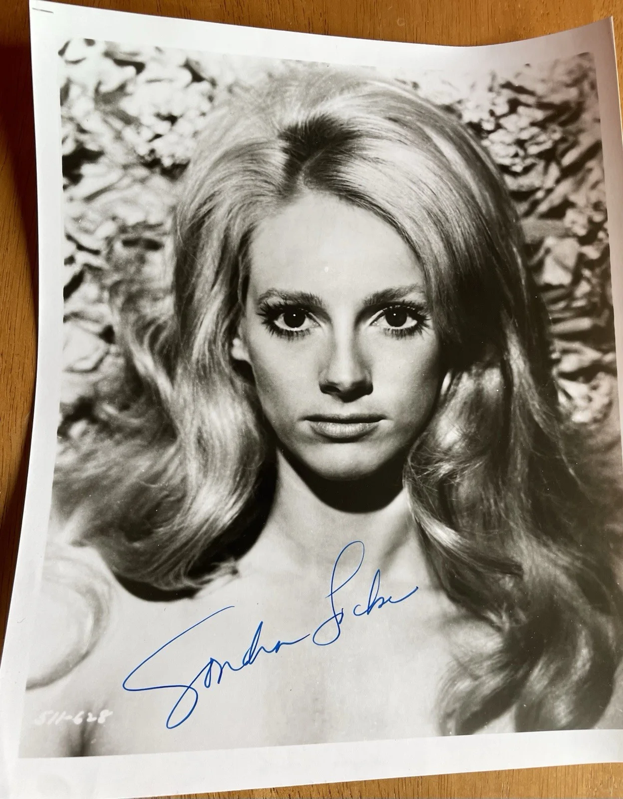 Sondra Locke — (Sandra Locke) "The Outlaw Josey Wales" Actress Sondra Locke Autograph Photo, изображение 2