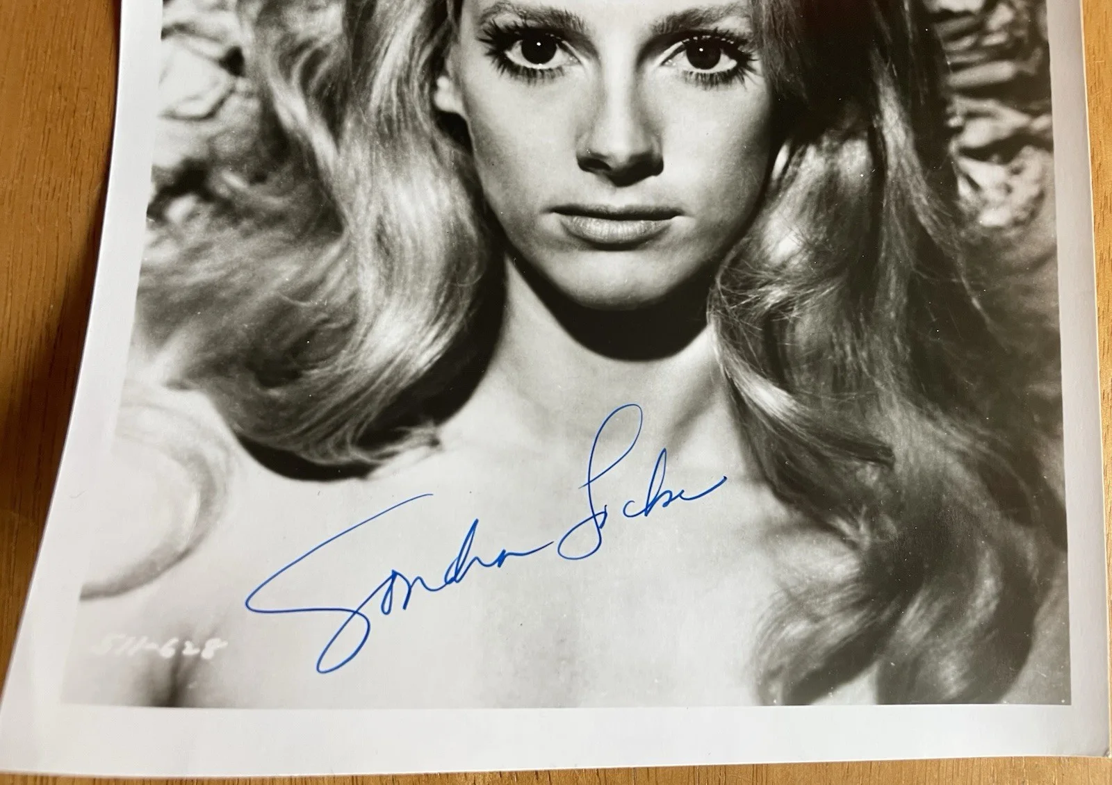 Sondra Locke — (Sandra Locke) "The Outlaw Josey Wales" Actress Sondra Locke Autograph Photo, изображение 3
