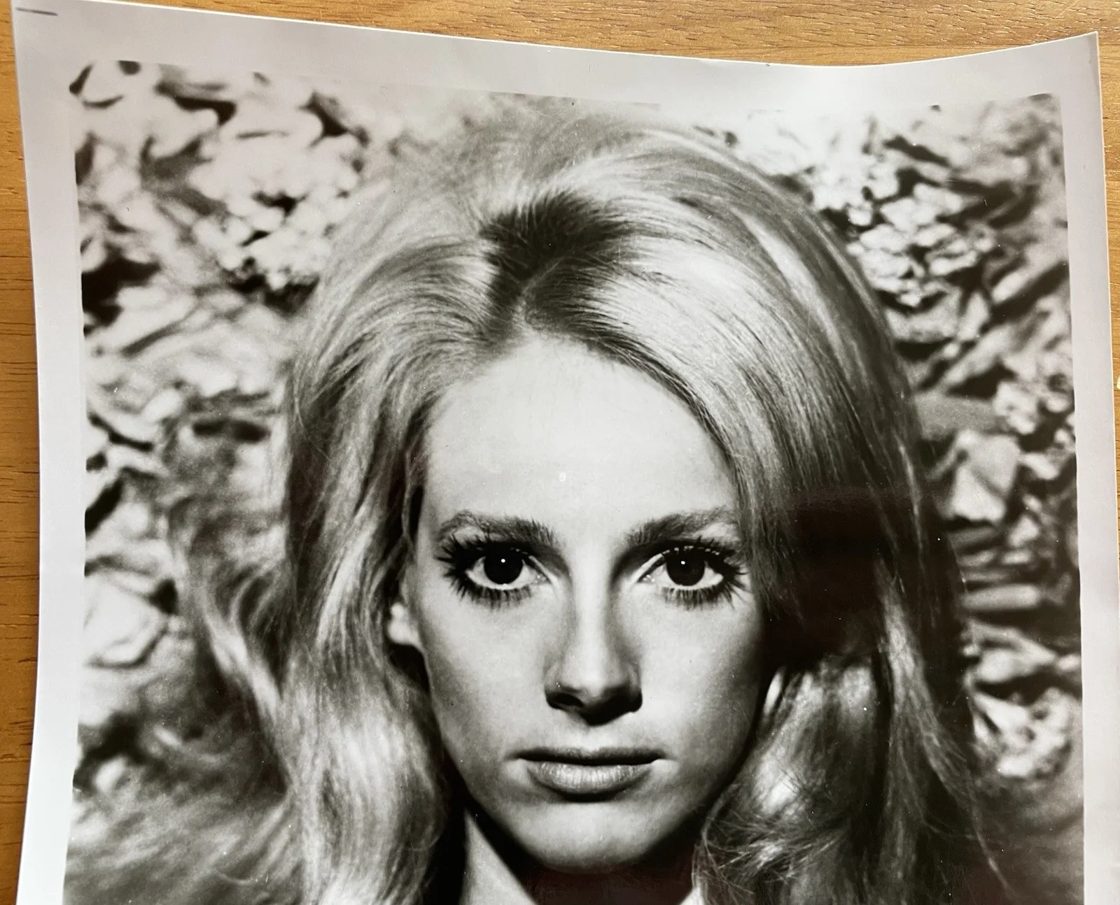 Sondra Locke — (Sandra Locke) "The Outlaw Josey Wales" Actress Sondra Locke Autograph Photo, изображение 4