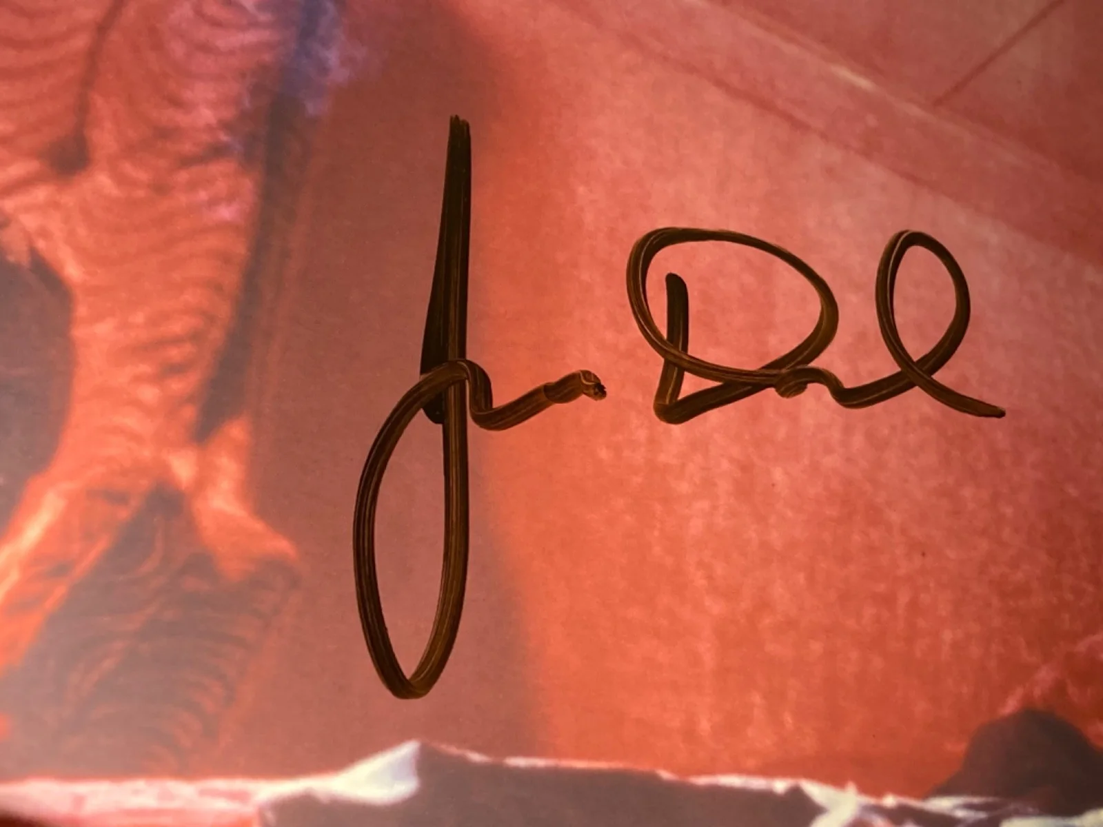 Hand SIGNED James Duval 10x8 Photo - Teenage Apocalypse, Donnie Darko, etc, изображение 4