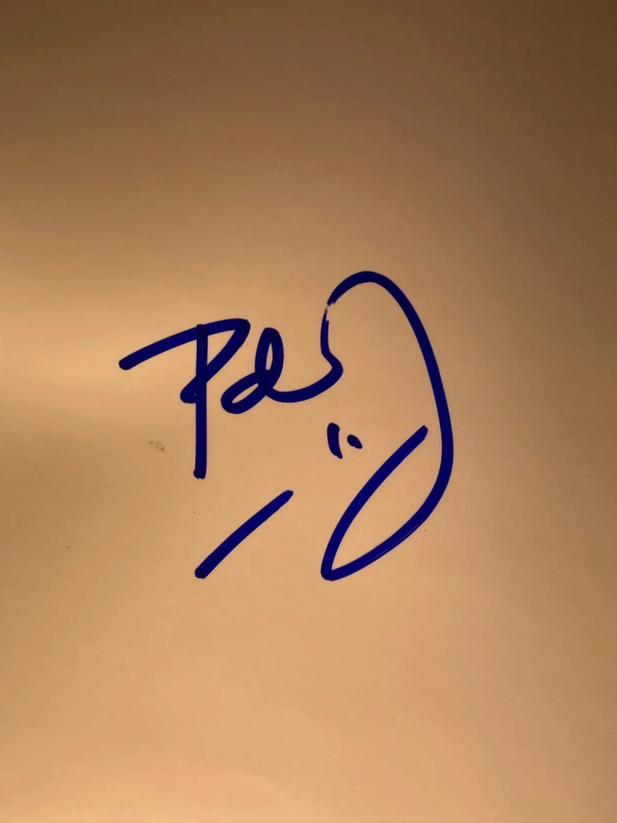 Hand SIGNED Paul Feig 8.5x11 Blank Photo Paper - Director - Ghostbusters, etc, image 3
