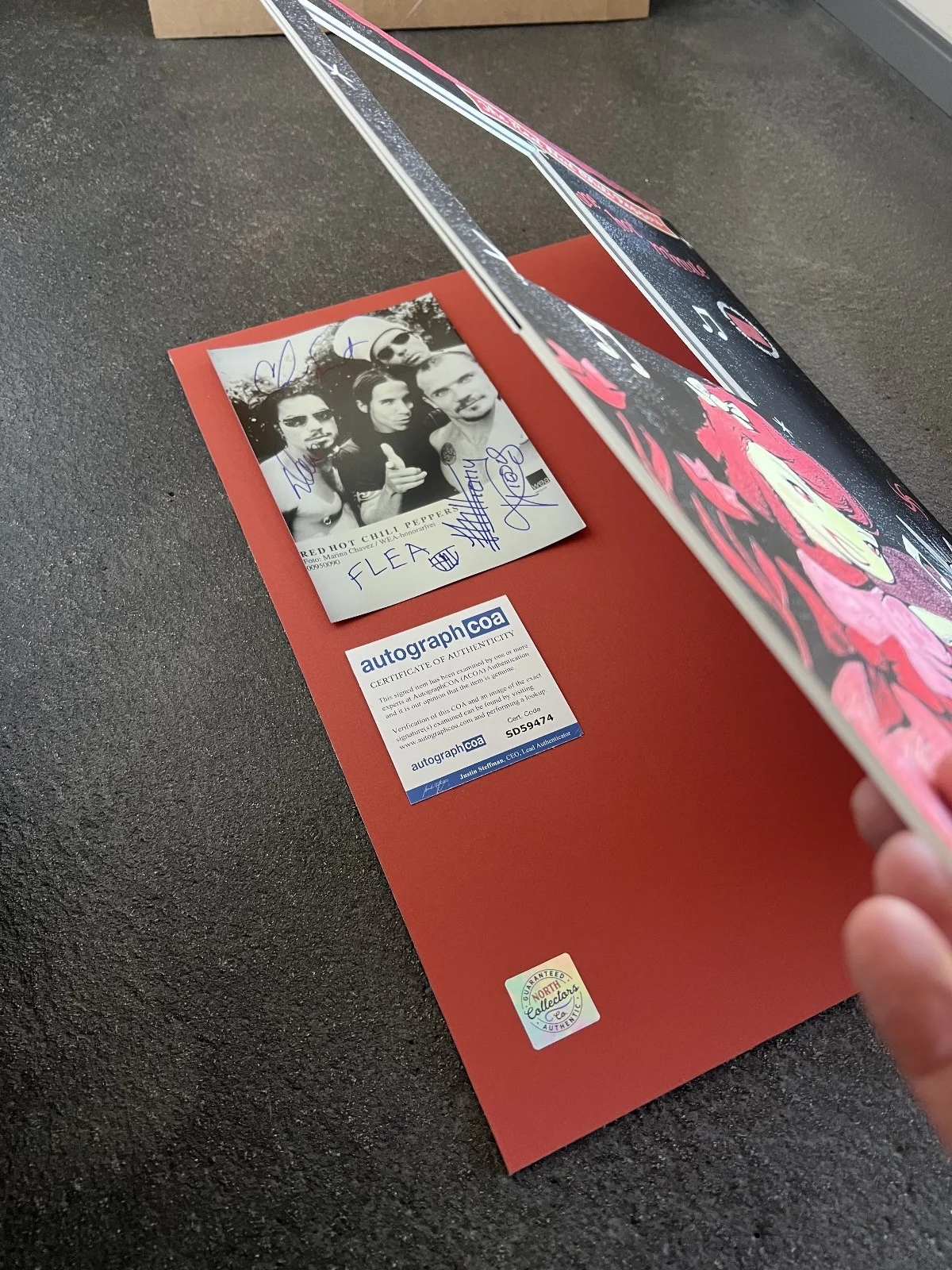 RED HOT CHILI PEPPERS signed 5X7 autographed photo / LOA (ACOA) / Passpartout, image 2