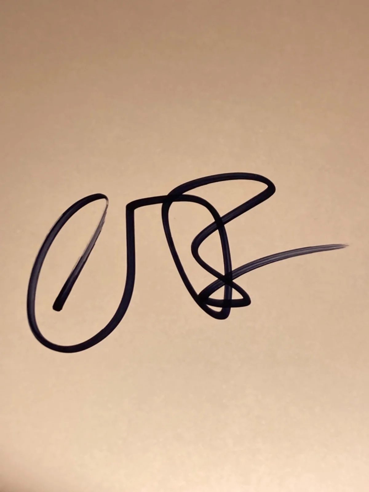 Hand SIGNED Conan O'Brien 8.5x11 Blank Photo Paper - Late Night Comedian, image 3