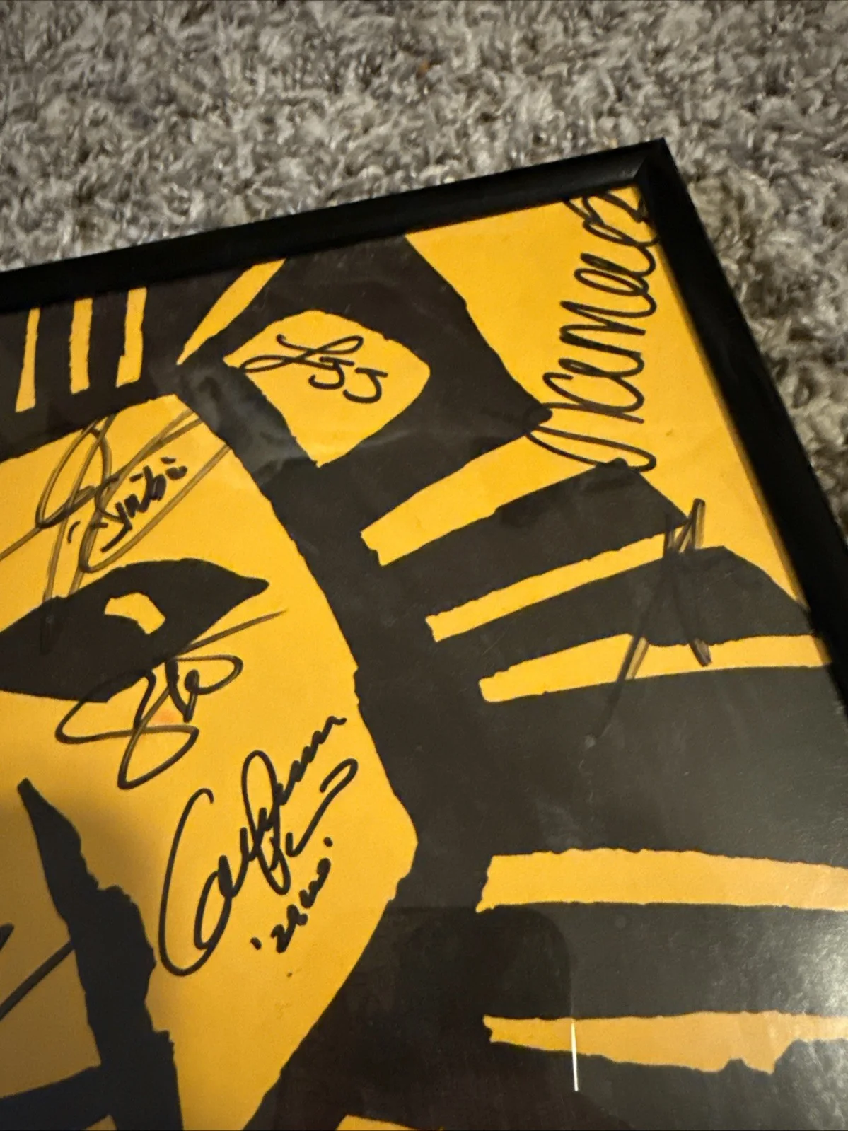The Lion King Broadway Musical Poster – Signed by Cast – Framed Collectible, image 4
