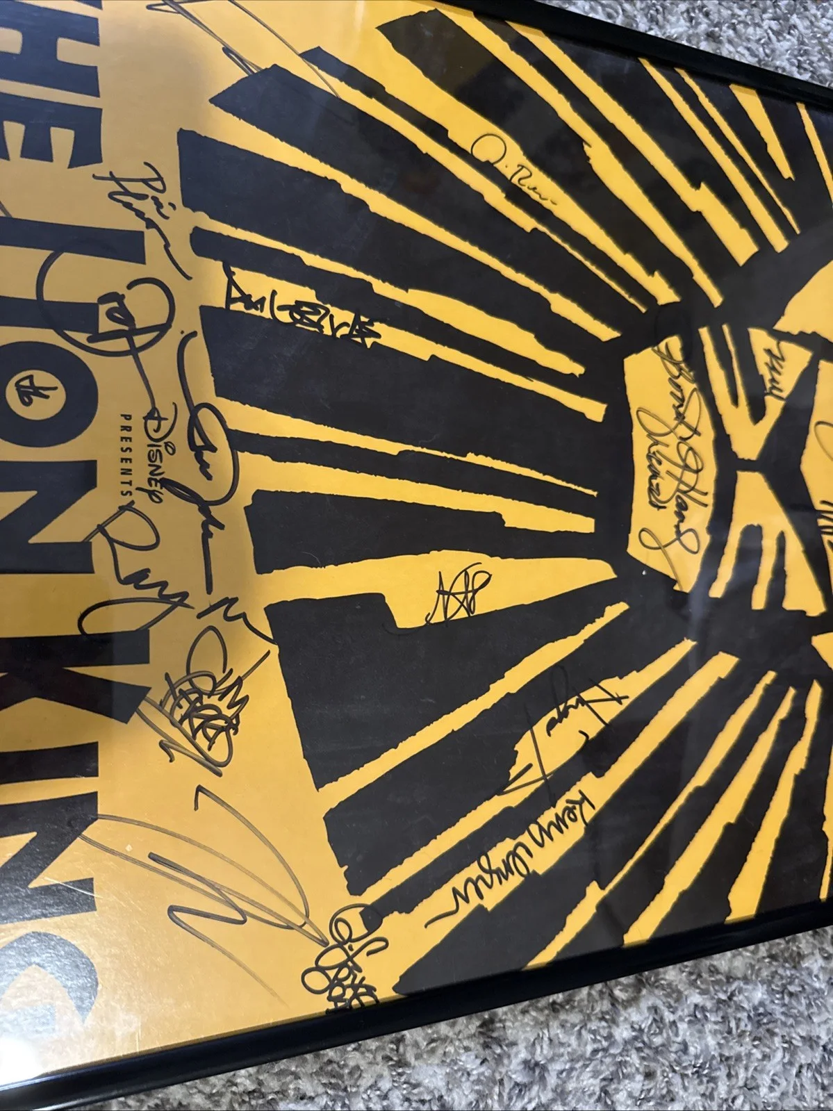 The Lion King Broadway Musical Poster – Signed by Cast – Framed Collectible, image 5