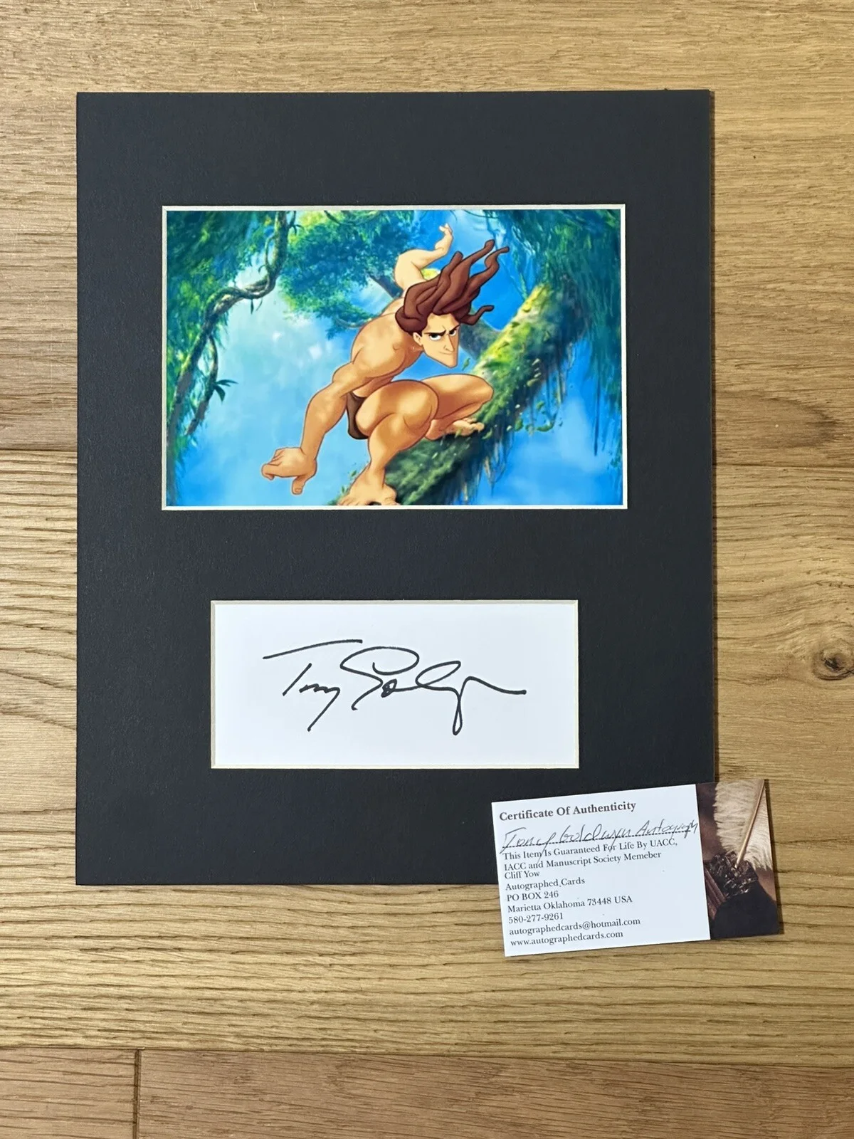 Tony Goldwyn — Tony Goldwyn "Disney Tarzan" AUTOGRAPH Autographed 8x10 UACC IACC COA CERT