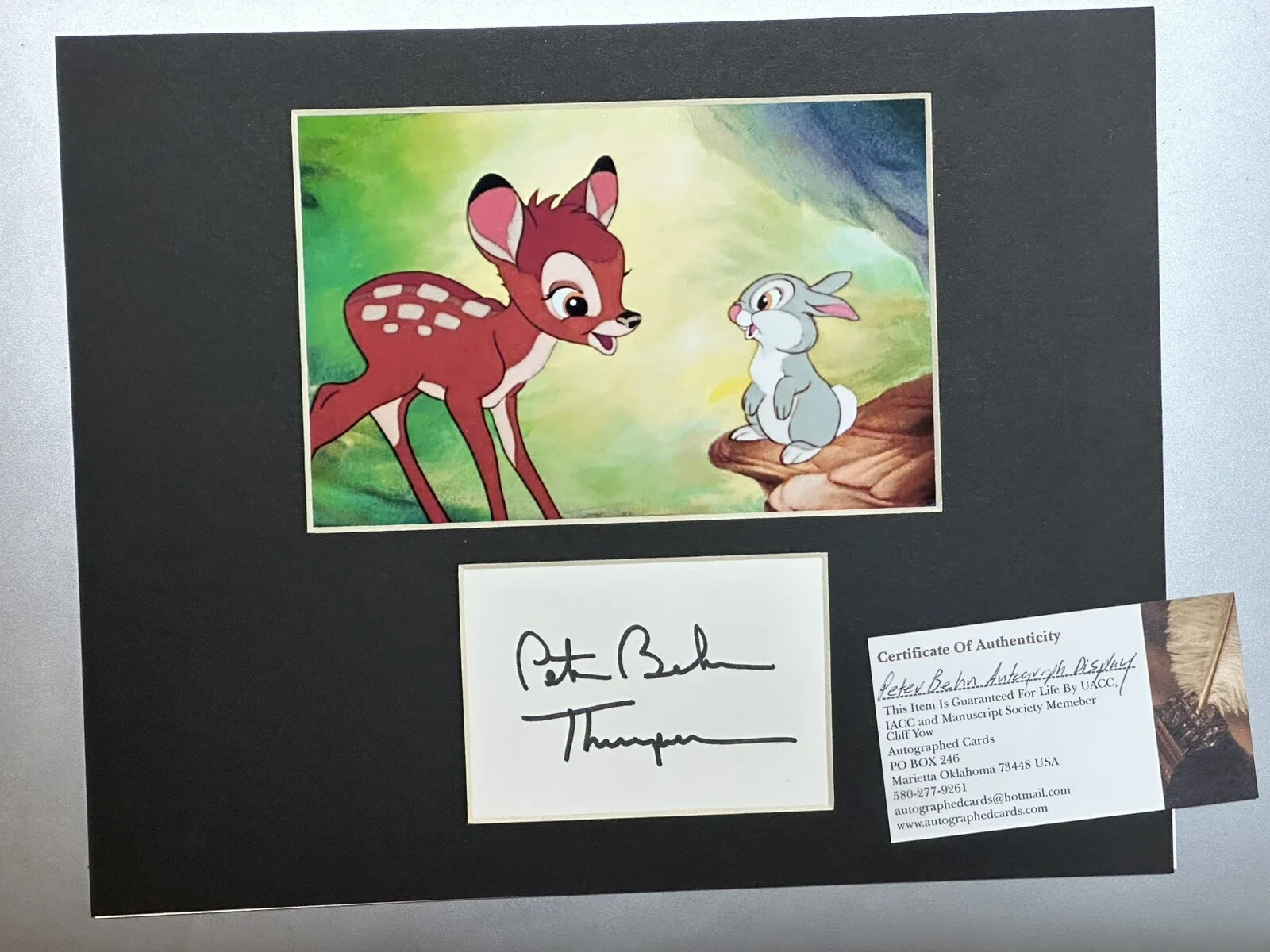 Peter Behn — Disney PETER BEHN Signed BAMBI Thumper 8x10 Autograph UACC IACC COA CERT, изображение 2