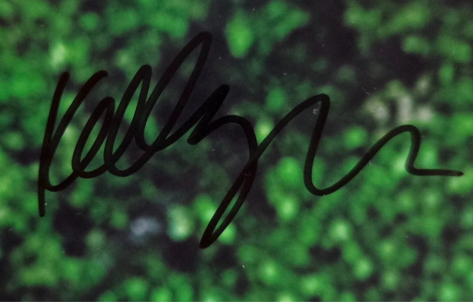 Kelley Jakle Hand Signed Autograph 8x10 Photo In Person Proof Pitch Perfect, изображение 2