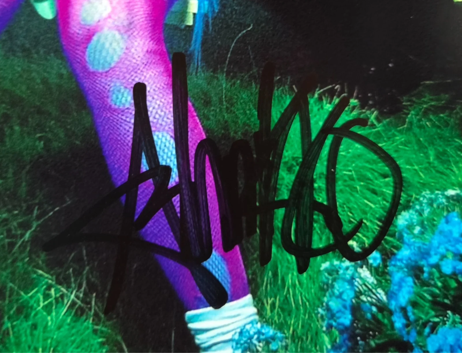 Ashnikko Hand Signed Autograph 8x10 Photo In Person Proof Daisy Singer Rapper, image 2