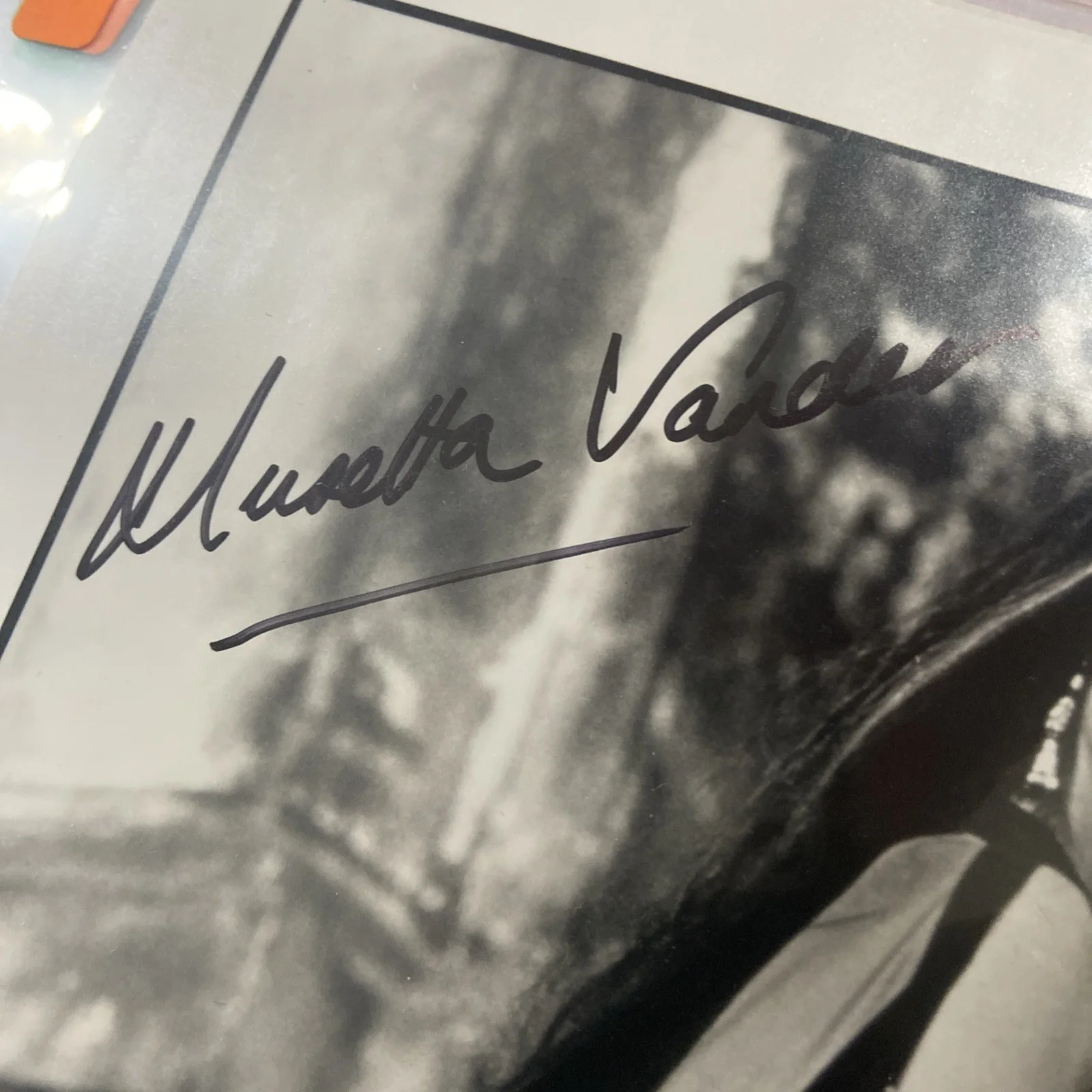 Musetta Vander — Musetta Vander Signed Mortal Kombat 8x10 Photo Authentic Autograph Queen Sindel, image 3