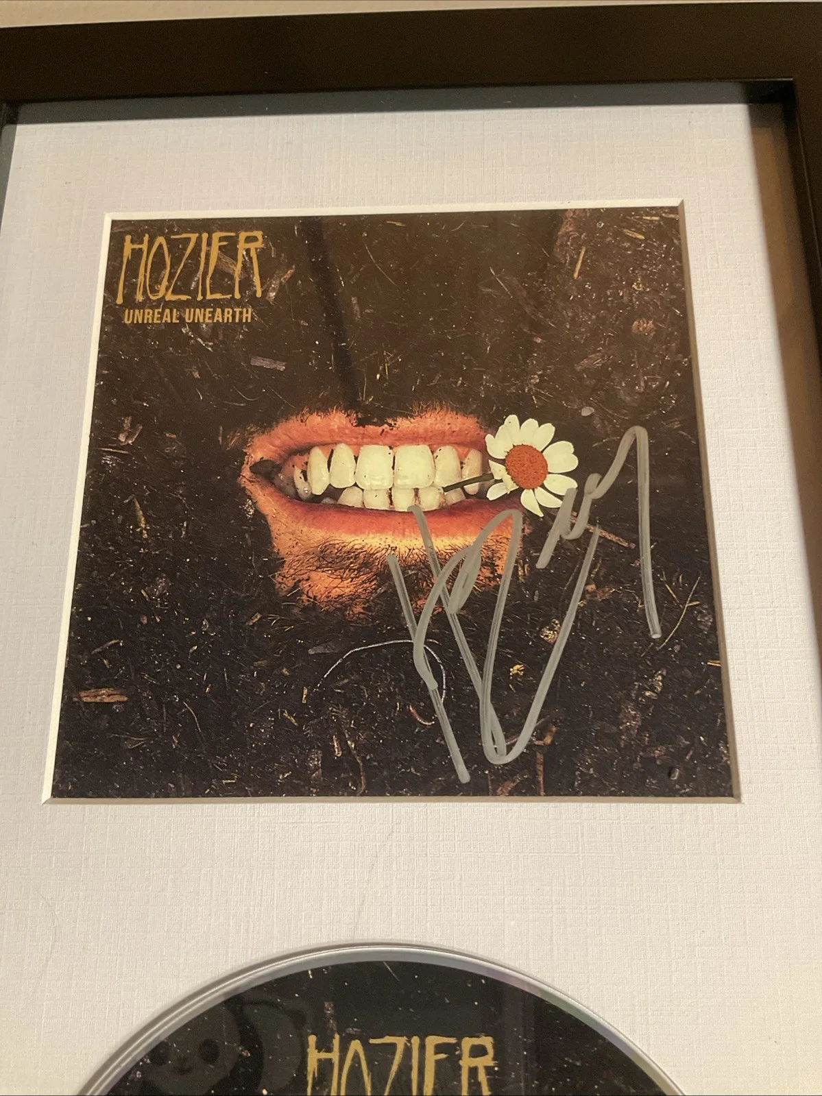 Hozier Signed Unreal Unearth Art Card Framed Official Store CD, image 2