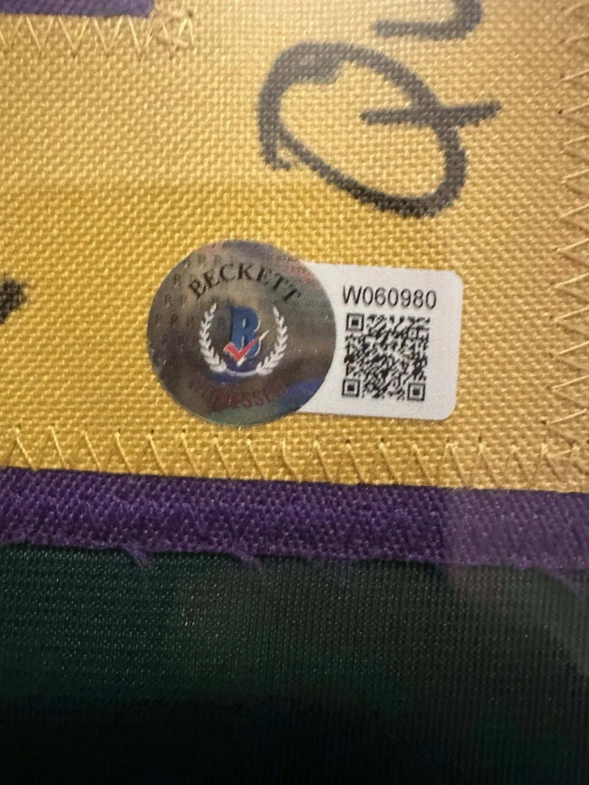 The Mighty Ducks Signed Mighty Ducks Official Jersey Beckett COA Framed, image 3