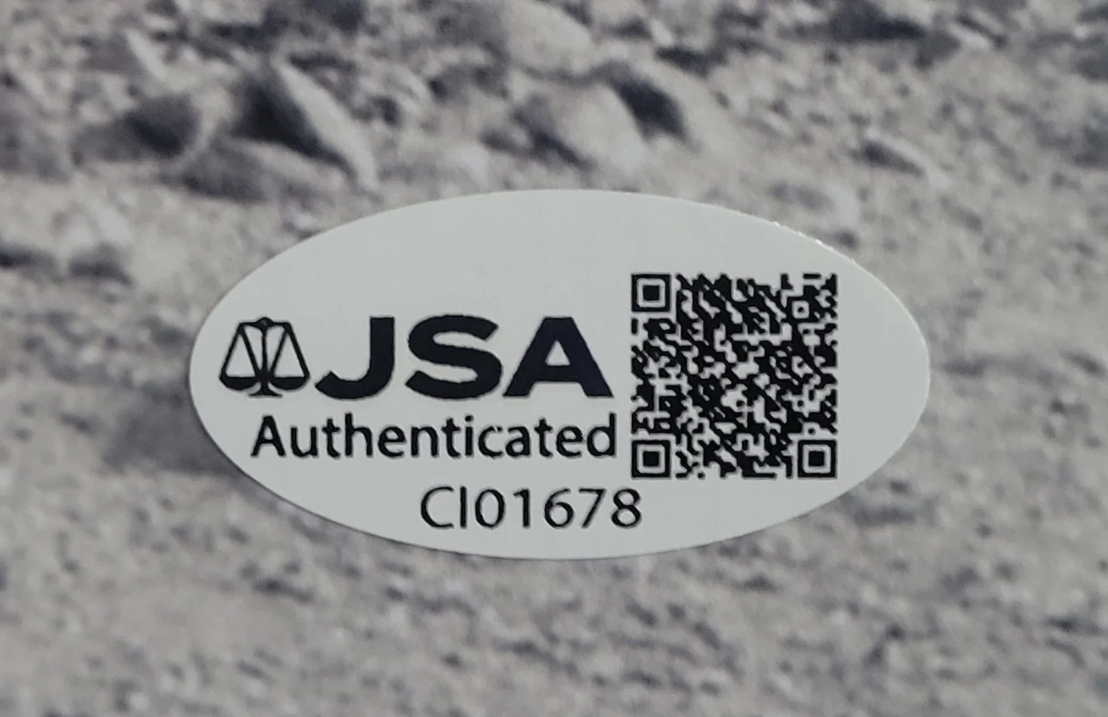 Neile Adams — NEILE ADAMS Signed Autographed 8x10 w/ Steve McQueen Photo, (JSA) Certified, изображение 4
