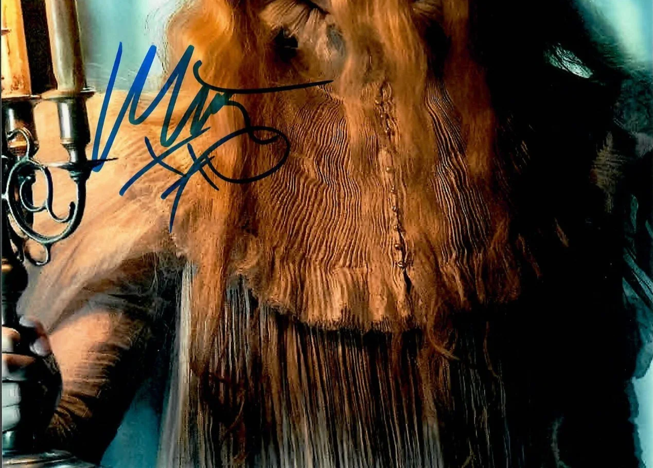 Mia Wasikowska — Mia Wasikowska Crimson Peak Actress As Edith Cushing Signed 8x10 Photo TTM COA, изображение 2