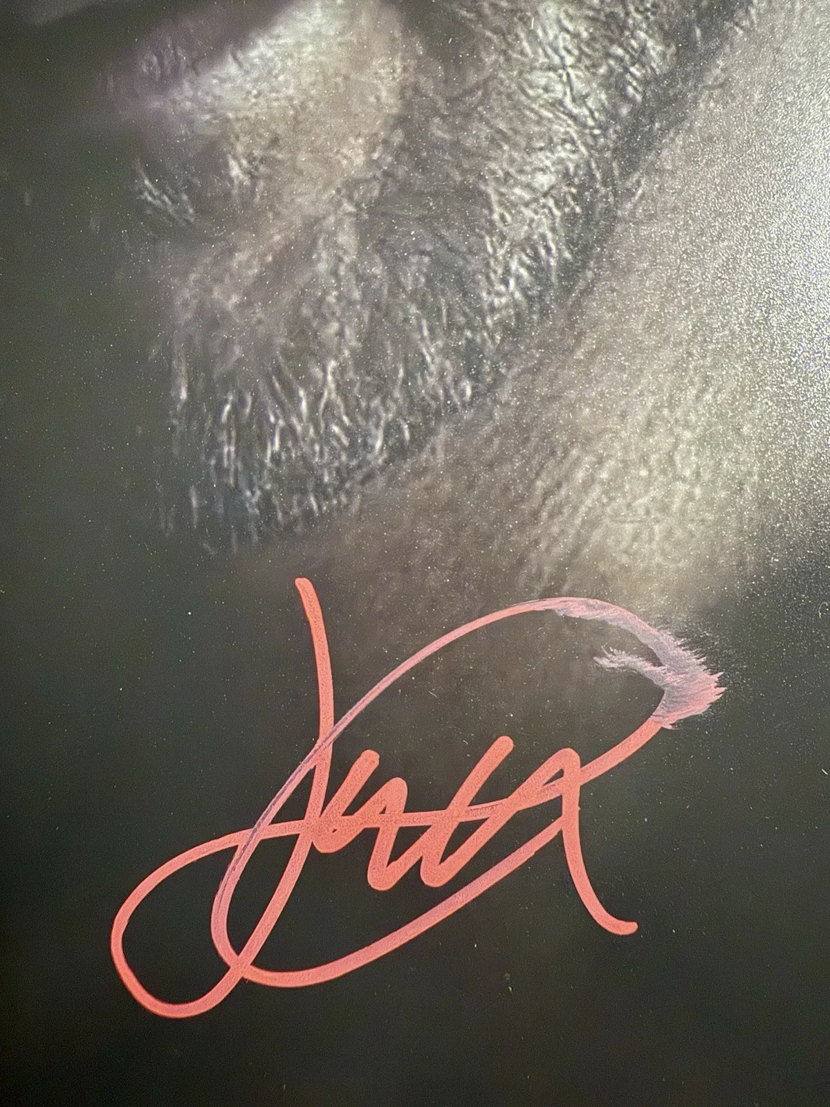 JACK QUAID — JACK QUAID SIGNED 11x14 AUTOGRAPH SCREAM V GHOSTFACE RICHIE KIRSCH BAS BT55339, изображение 2