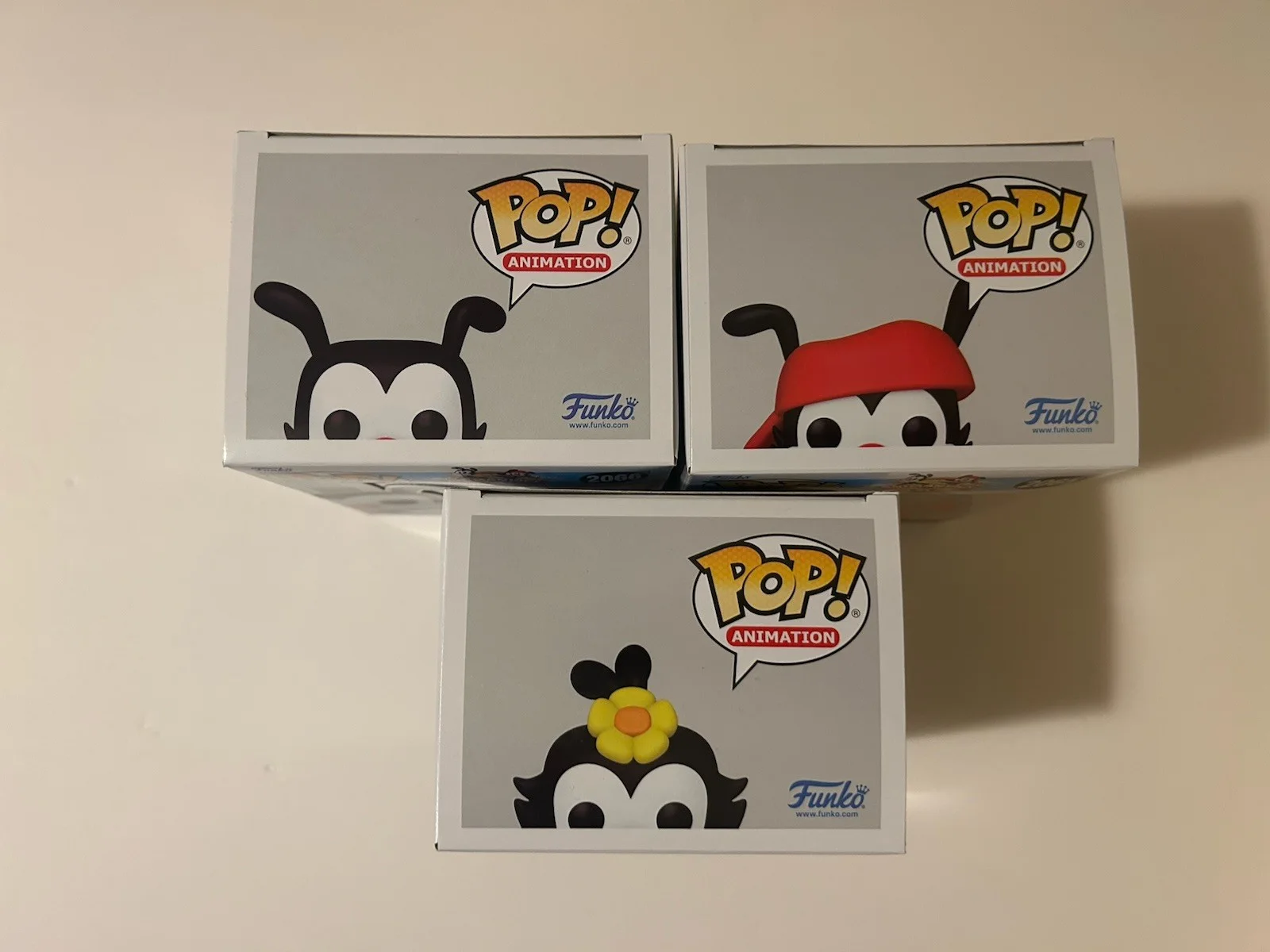 Jess Harnell — Set 3 Signed ANIMANIACS Funko Pops Yakko Wakko Dot Paulsen MacNeille Harnell, изображение 5