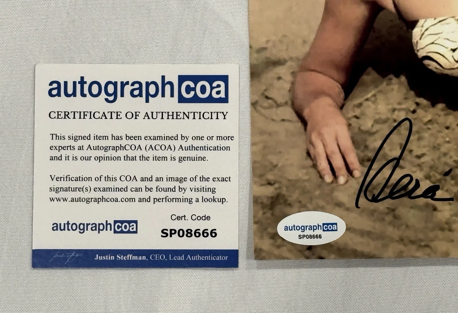 Vera Miles — Vera Miles signed 8x10 photo ACOA Psycho, The Searchers, The Wrong Man, изображение 3