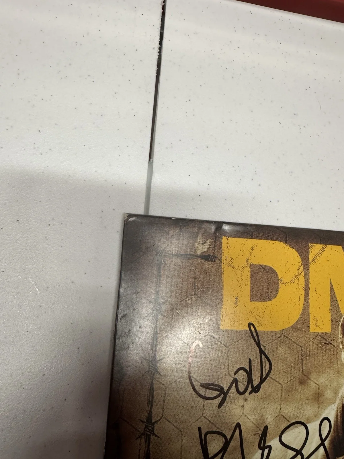 DMX Autographed Signed Grand Champ Vinyl Album JSA Letter COA EXACT PROOF, image 2